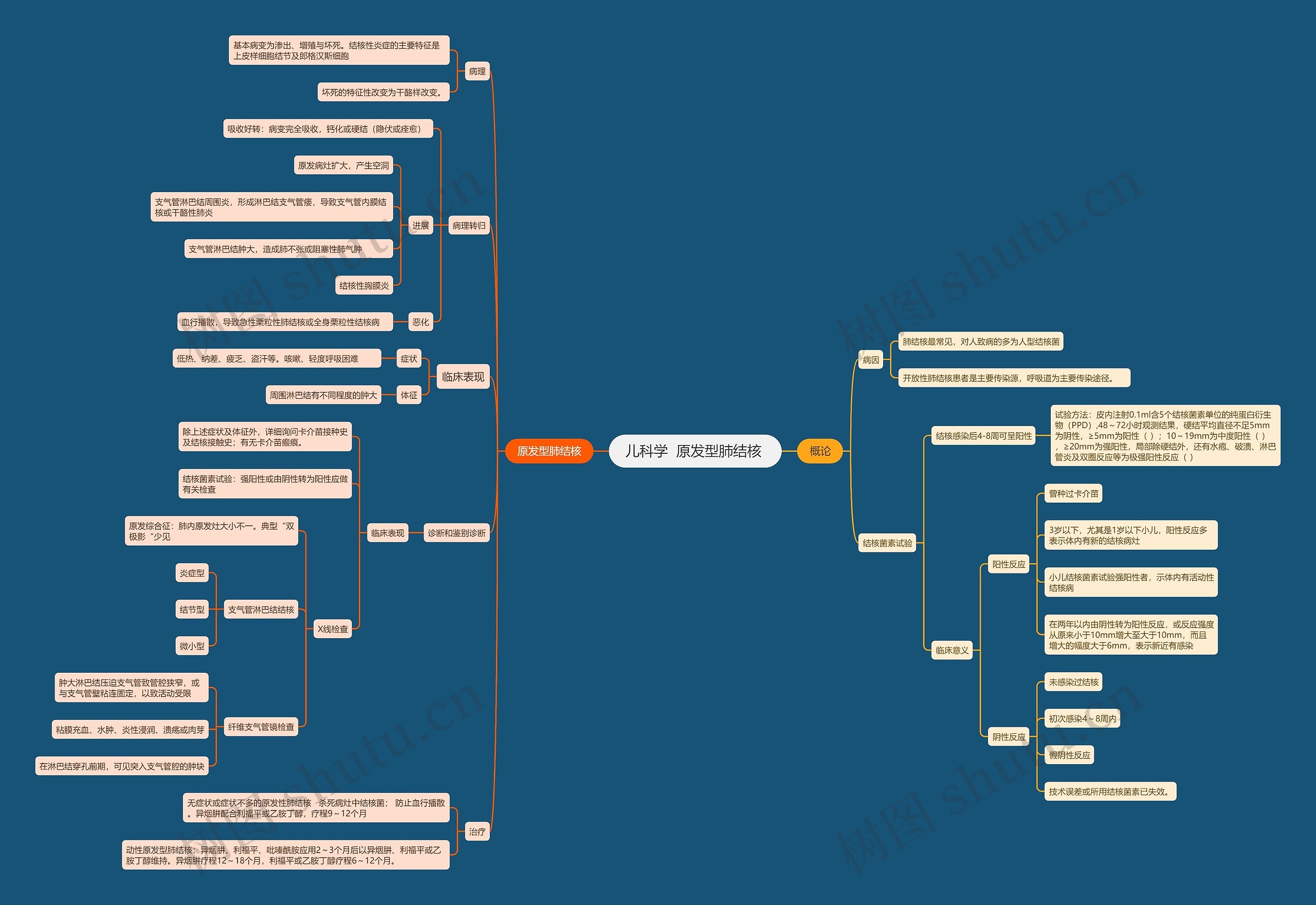 儿科学  原发型肺结核 思维导图