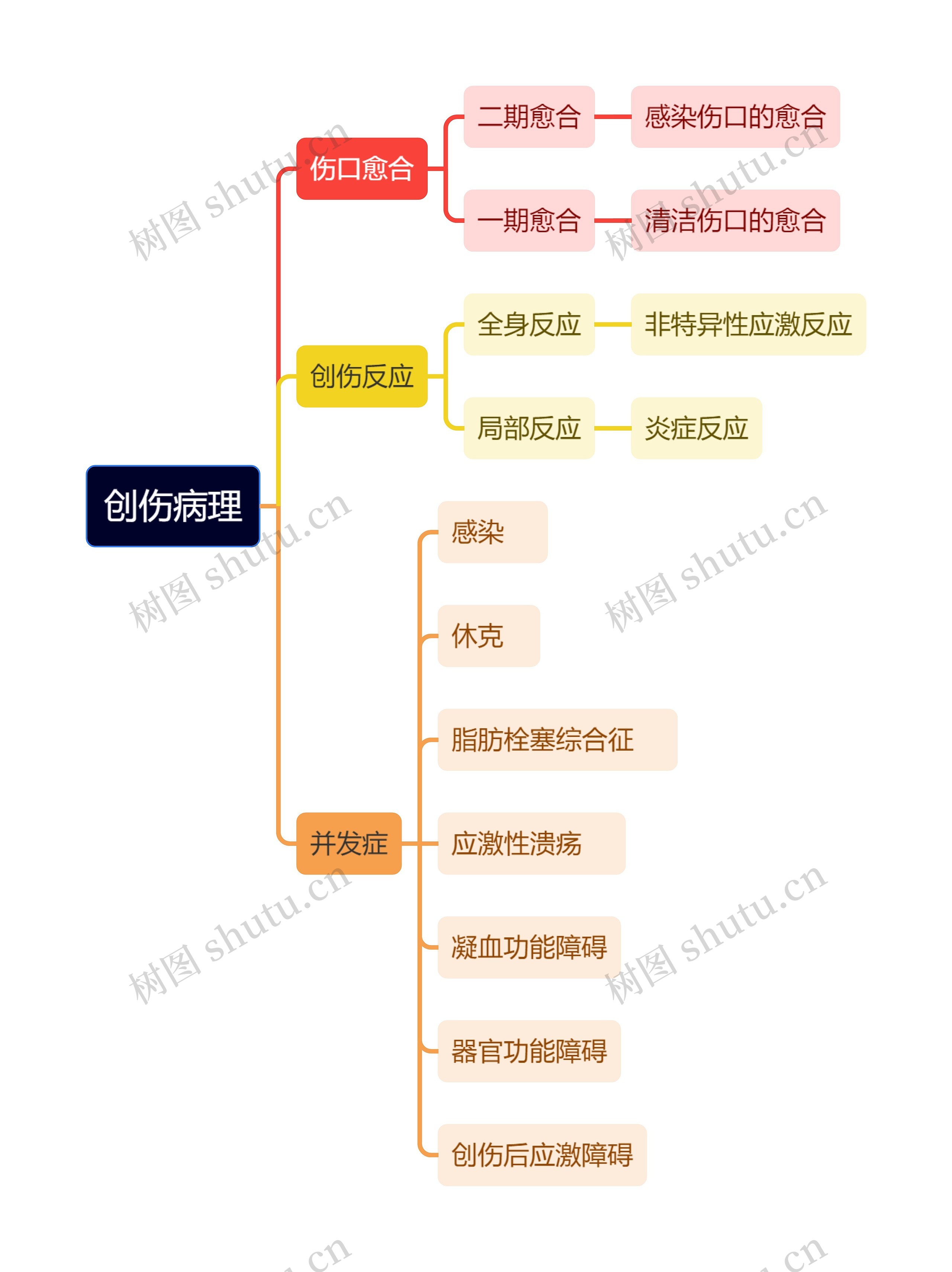 医学知识创伤病理思维导图