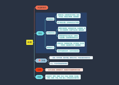 医学知识麻黄思维导图