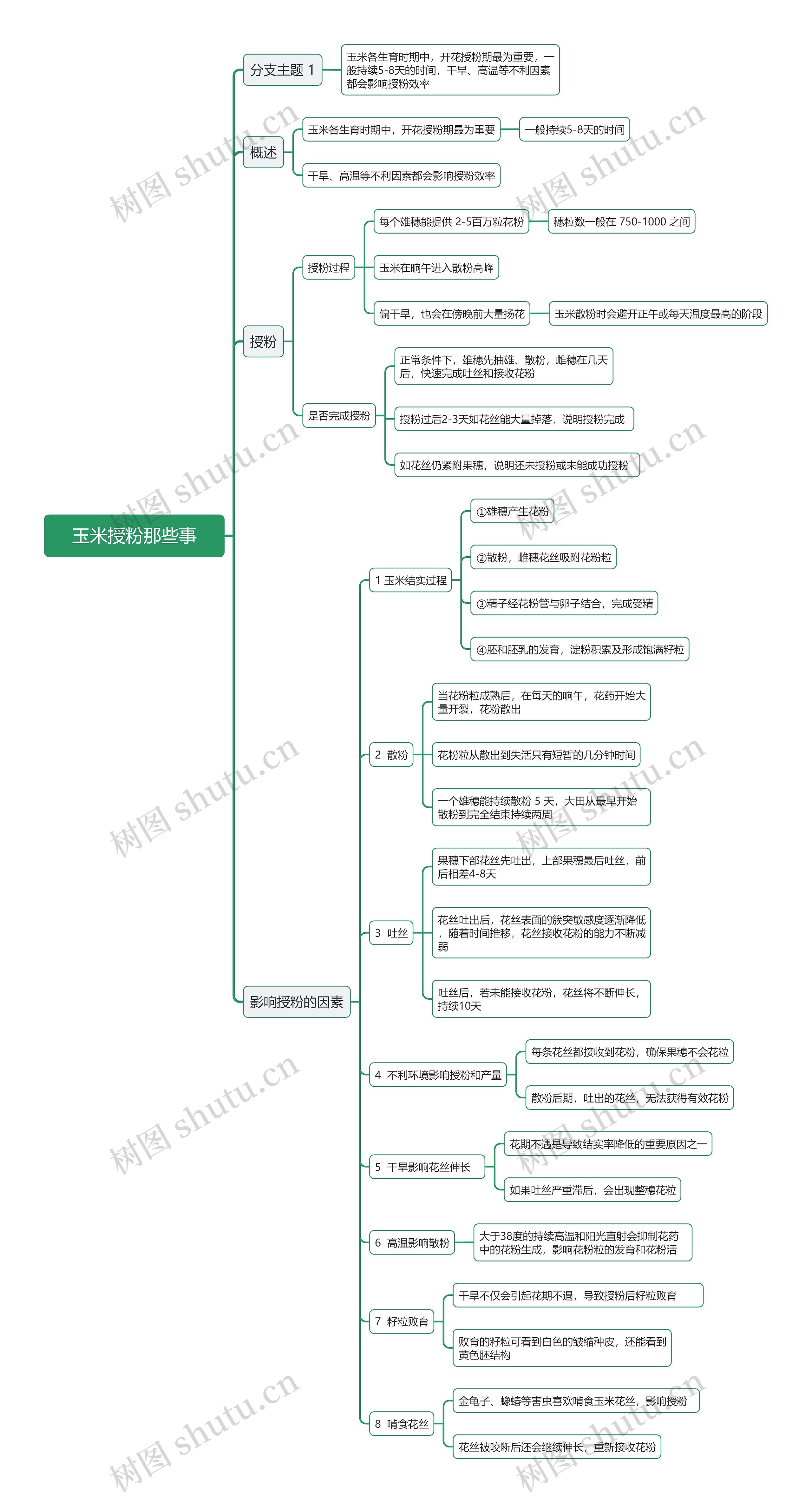 玉米授粉那些事思维导图