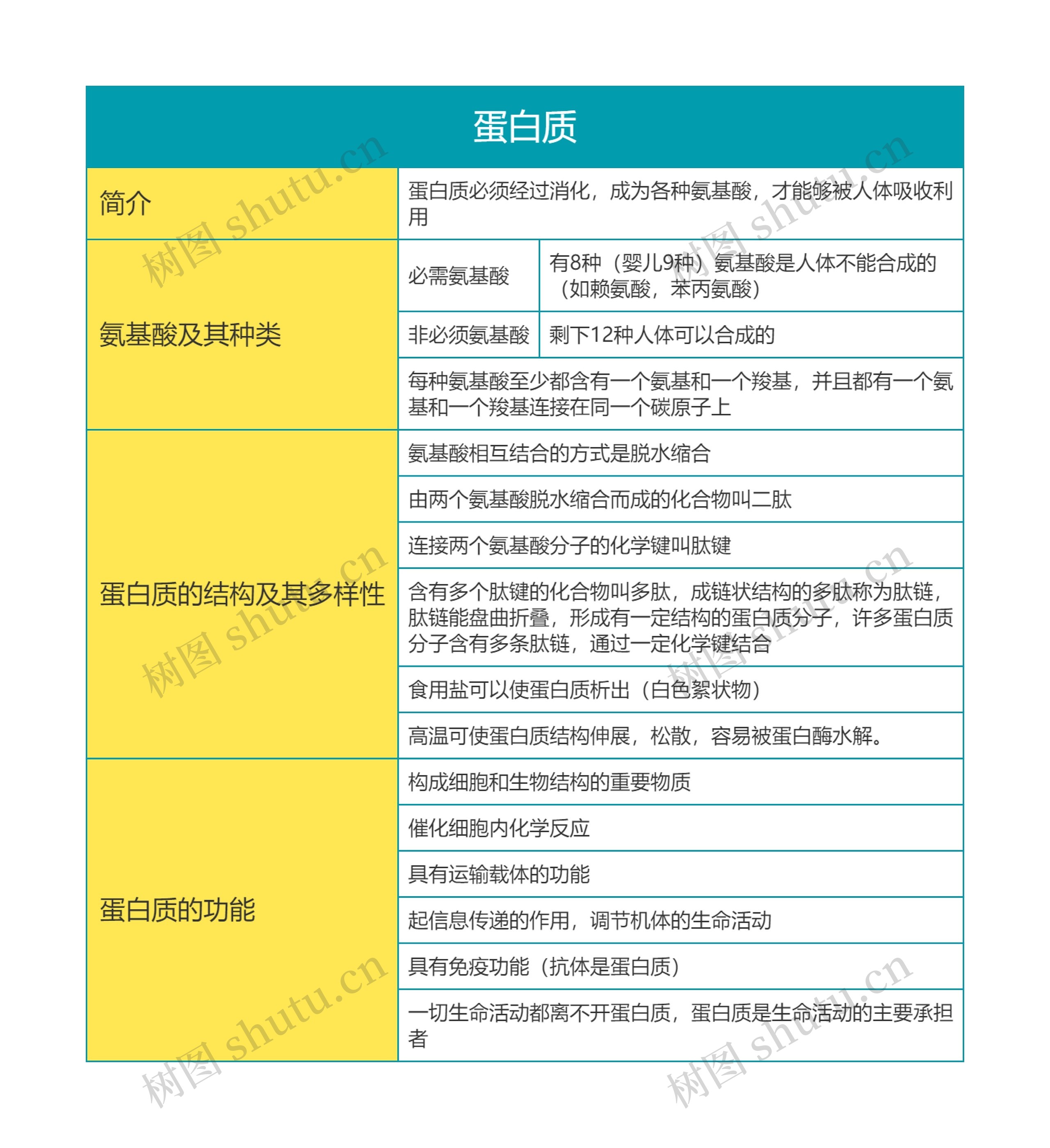 高中生物必修一第二单元蛋白质思维导图