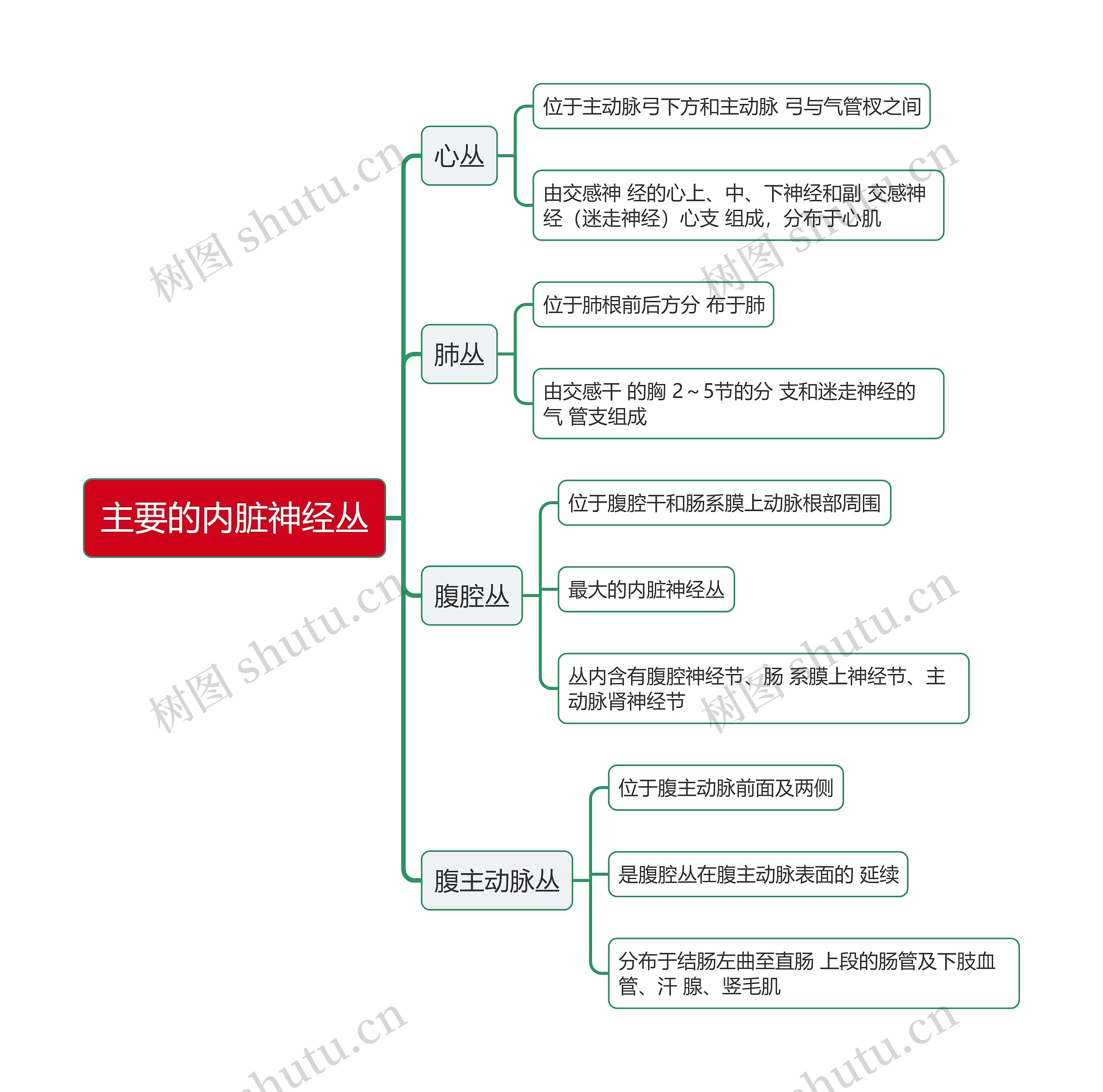 医学主要的内脏神经丛思维导图