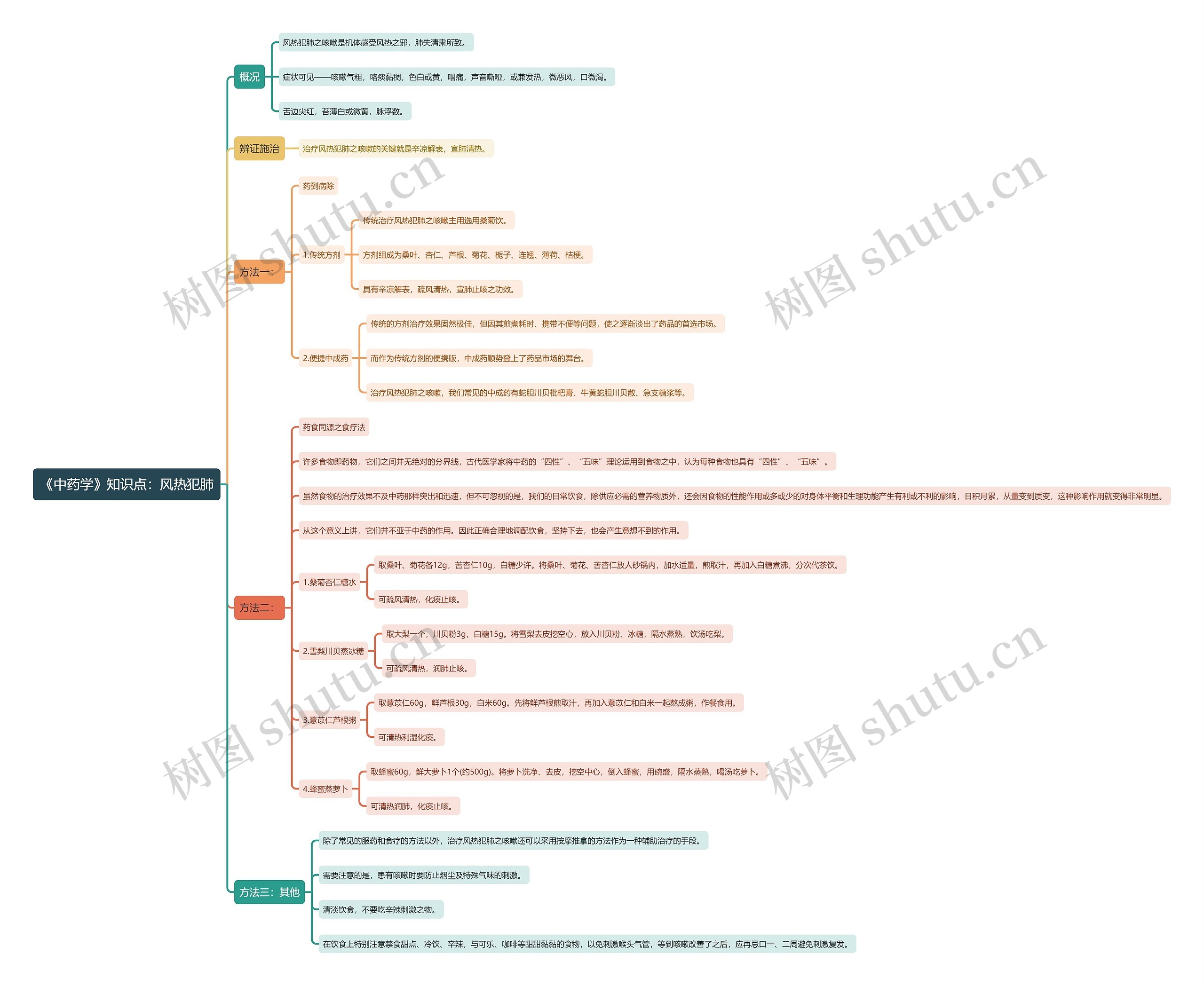 《中药学》知识点：风热犯肺思维导图