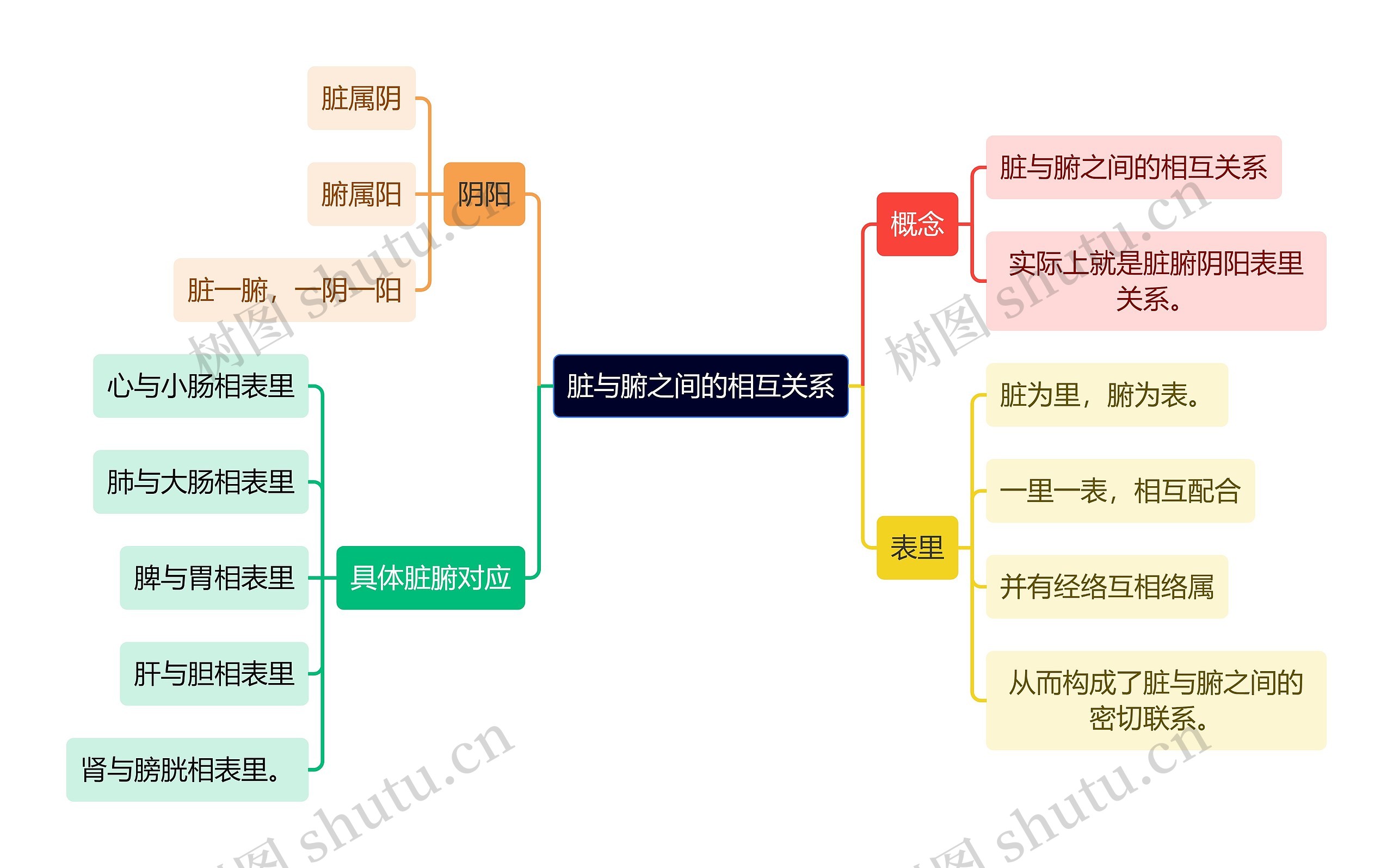 中医知识脏与腑之间的相互关系思维导图