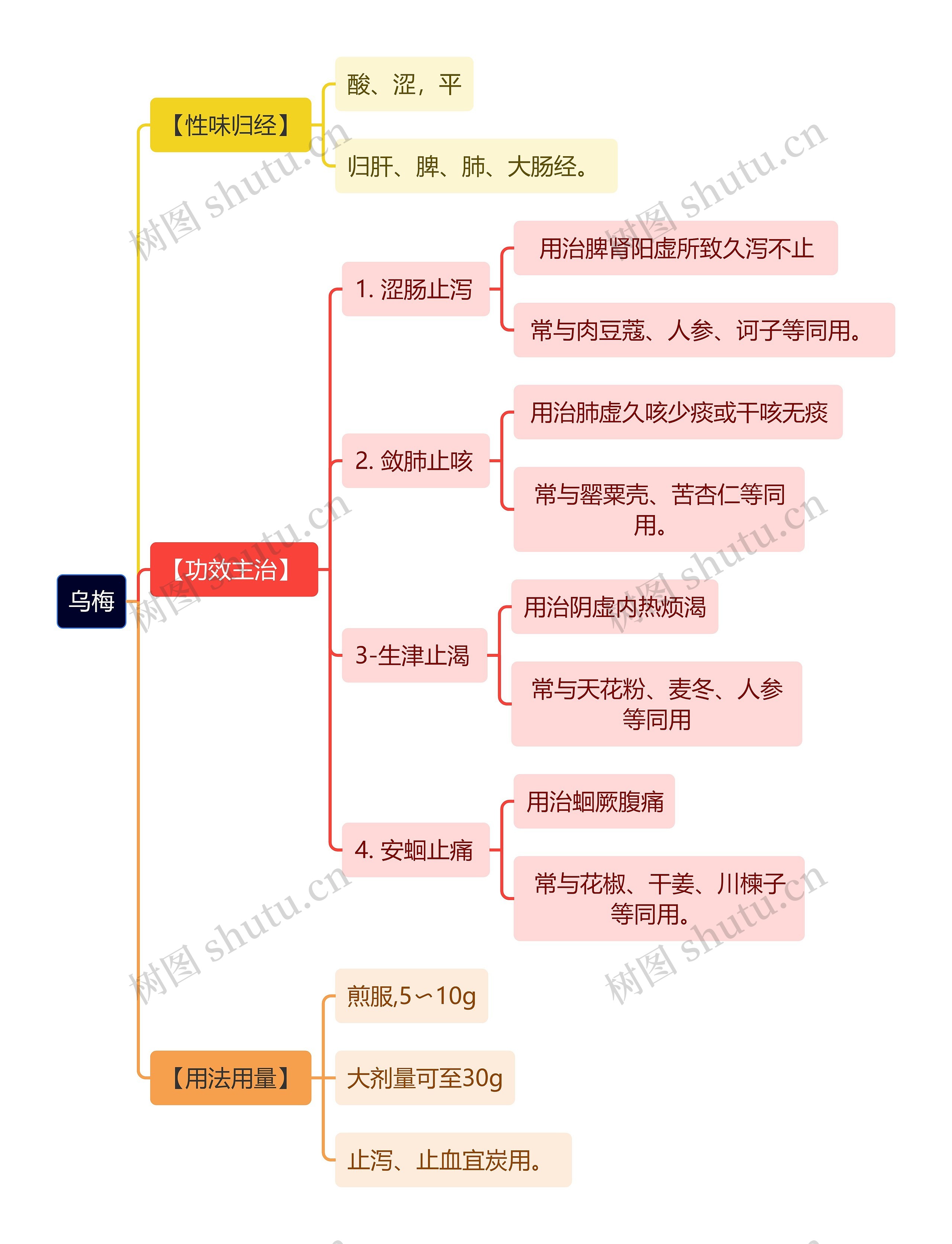 中医知识乌梅思维导图高清图 中医知识乌梅思维导图
