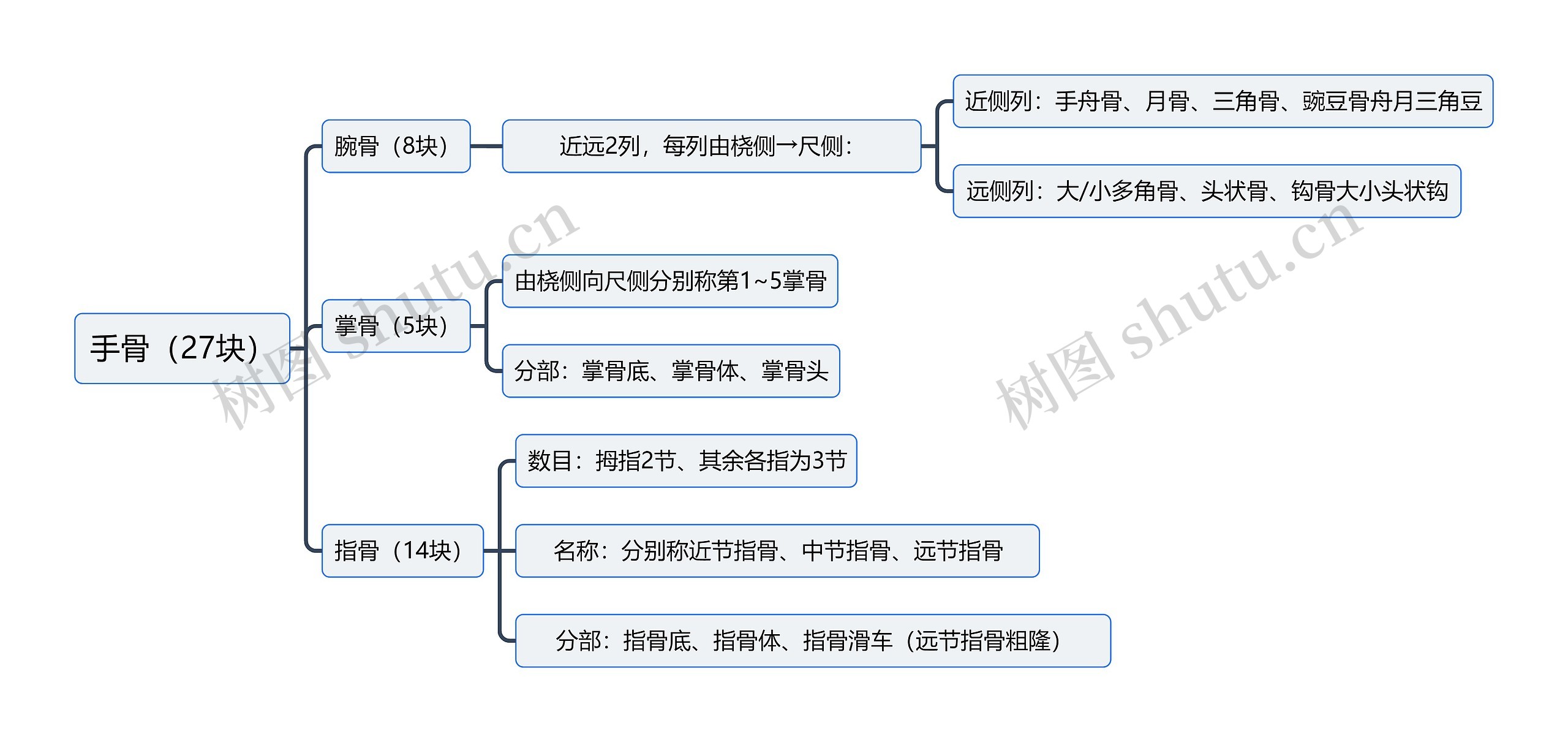 手骨（27块）思维导图