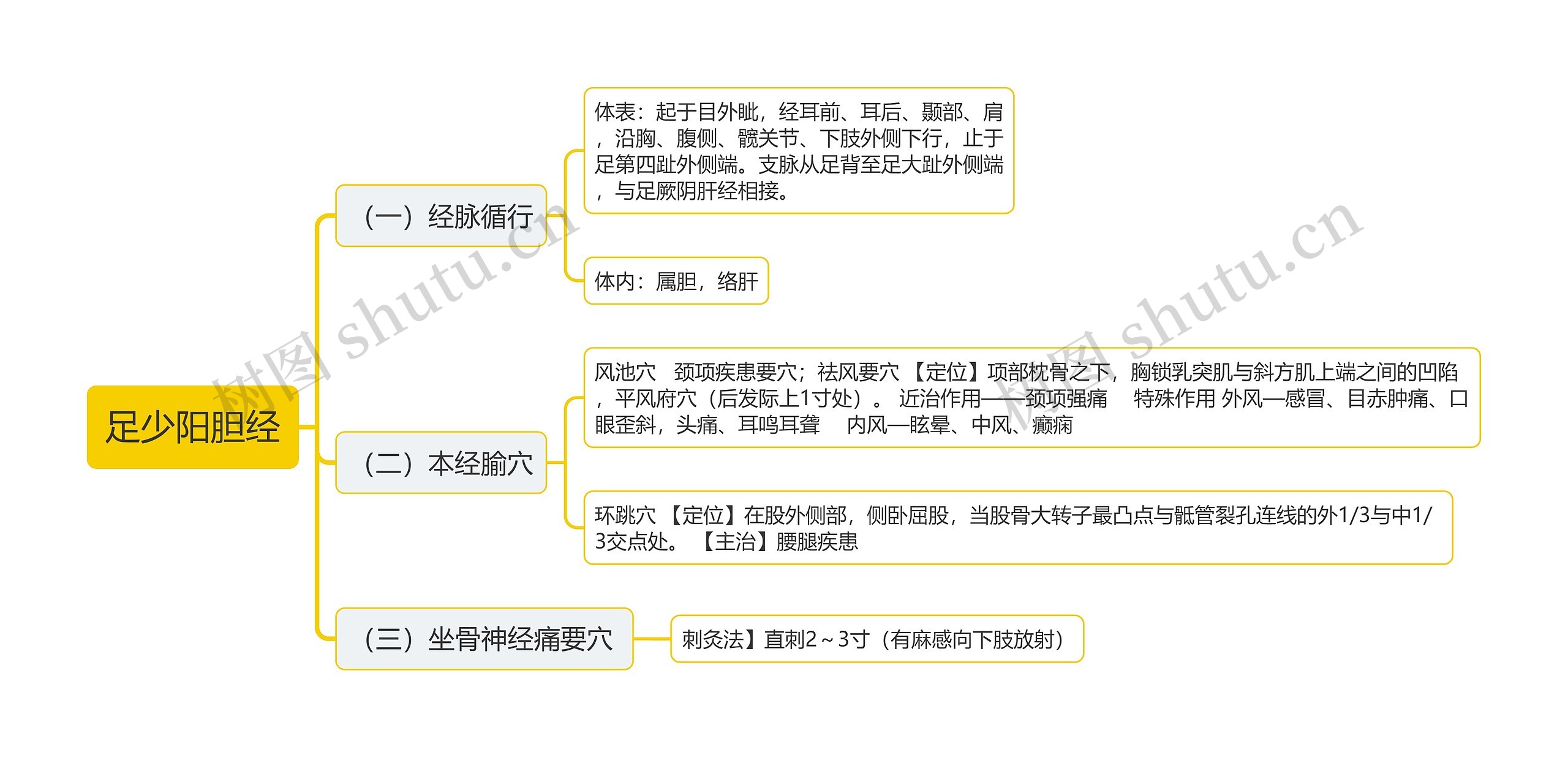 足少阳胆经思维导图