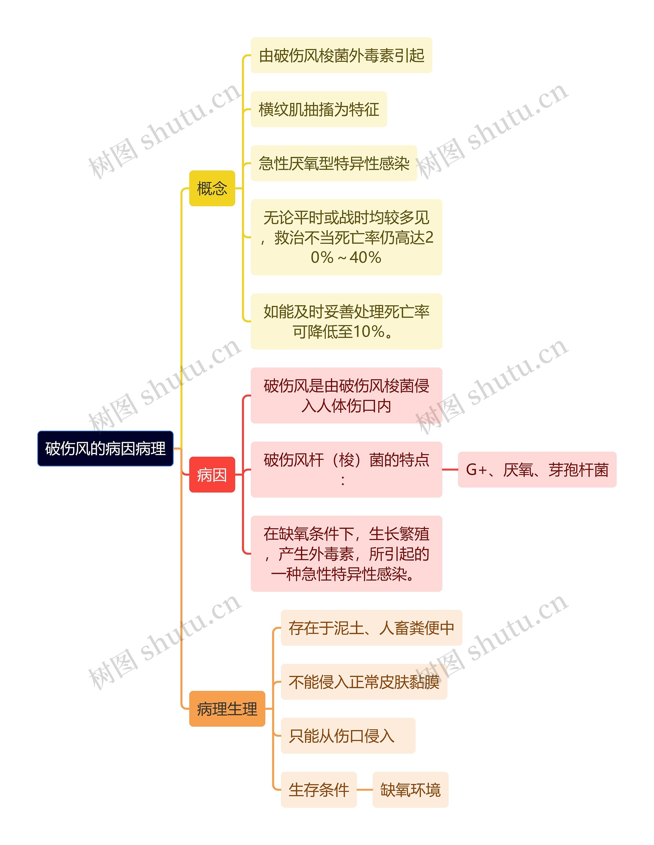 医学知识破伤风的病因病理思维导图