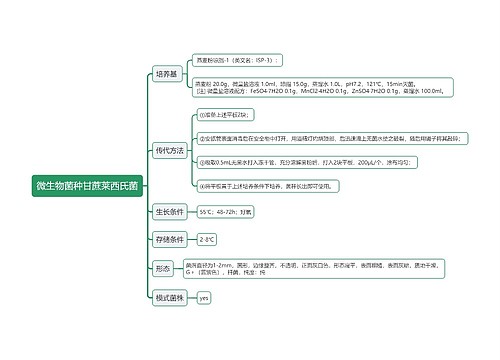 微生物菌种甘蔗莱西氏菌思维导图