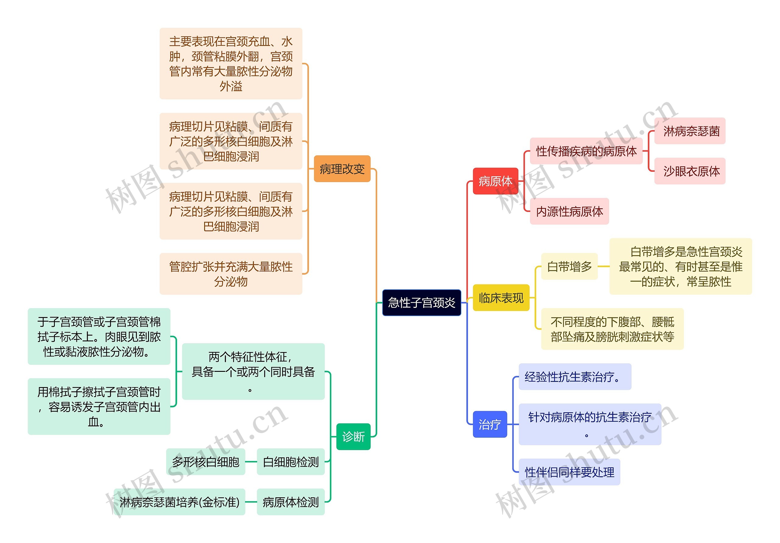 医学知识急性子宫颈炎思维导图