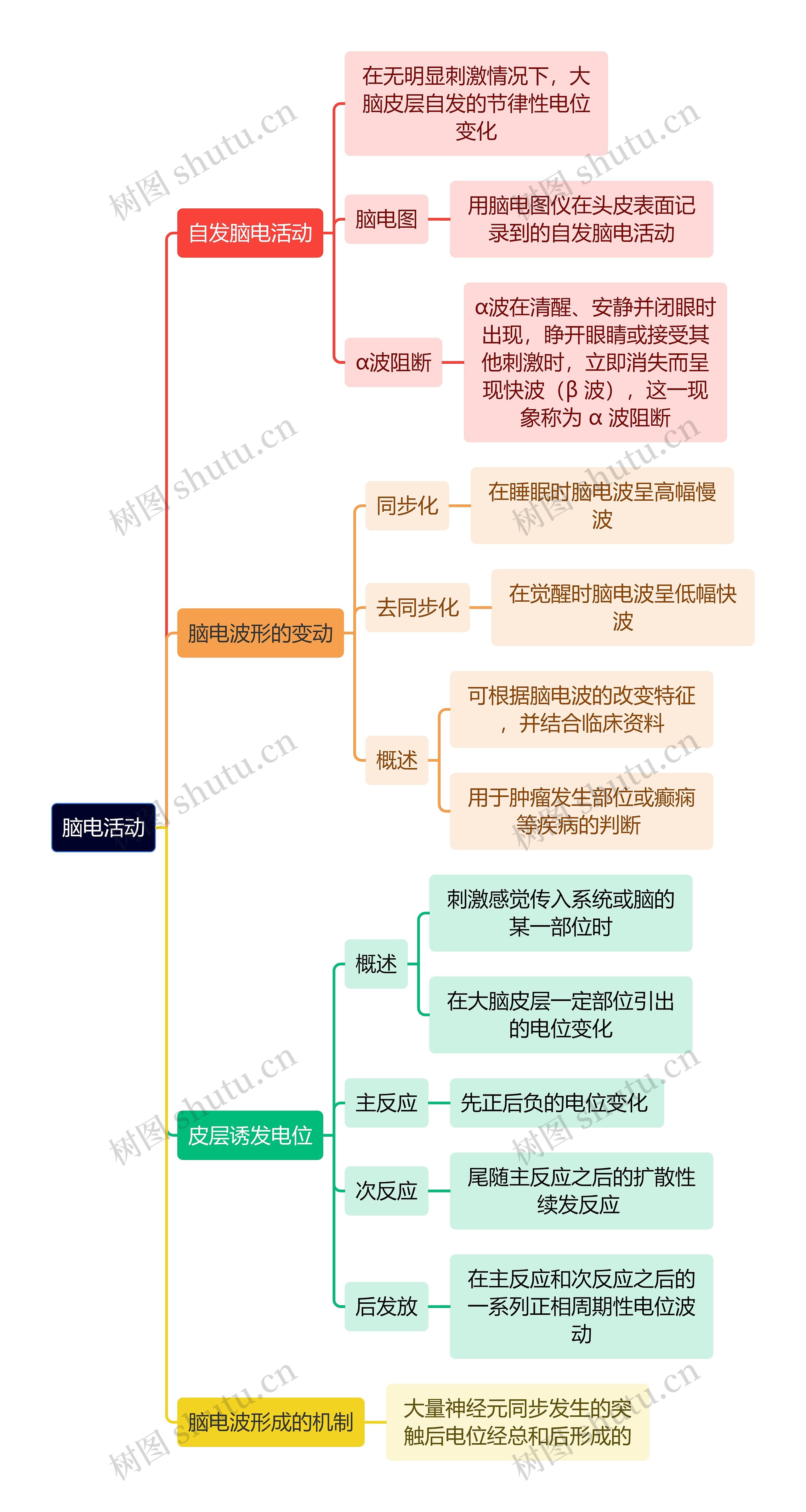 医学知识脑电活动思维导图