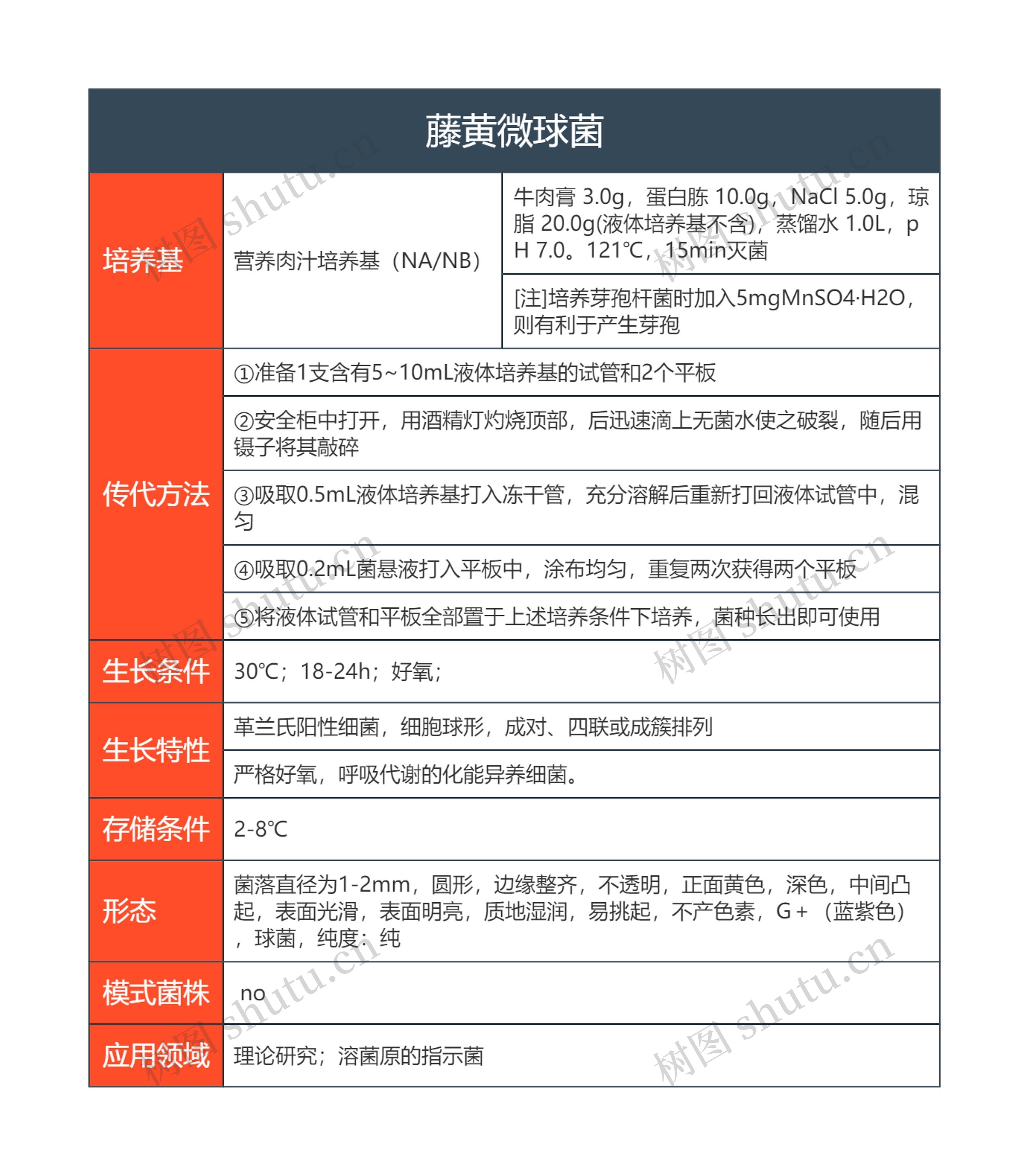 藤黄微球菌思维导图