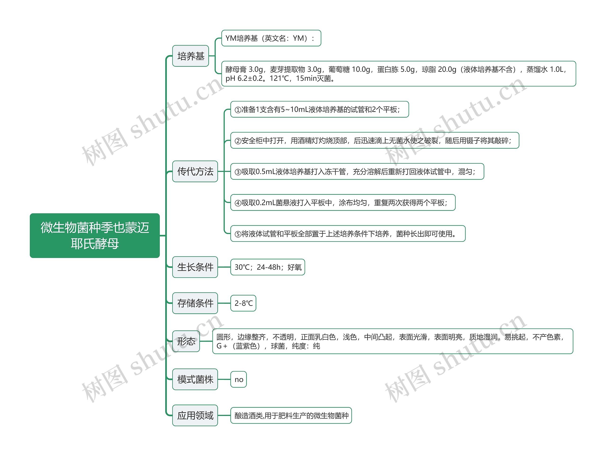 微生物菌种季也蒙迈耶氏酵母思维导图