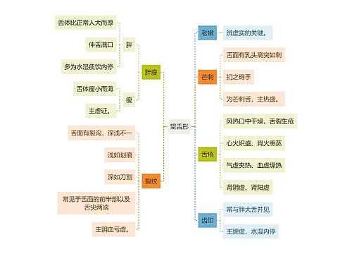 中医知识望舌形思维导图