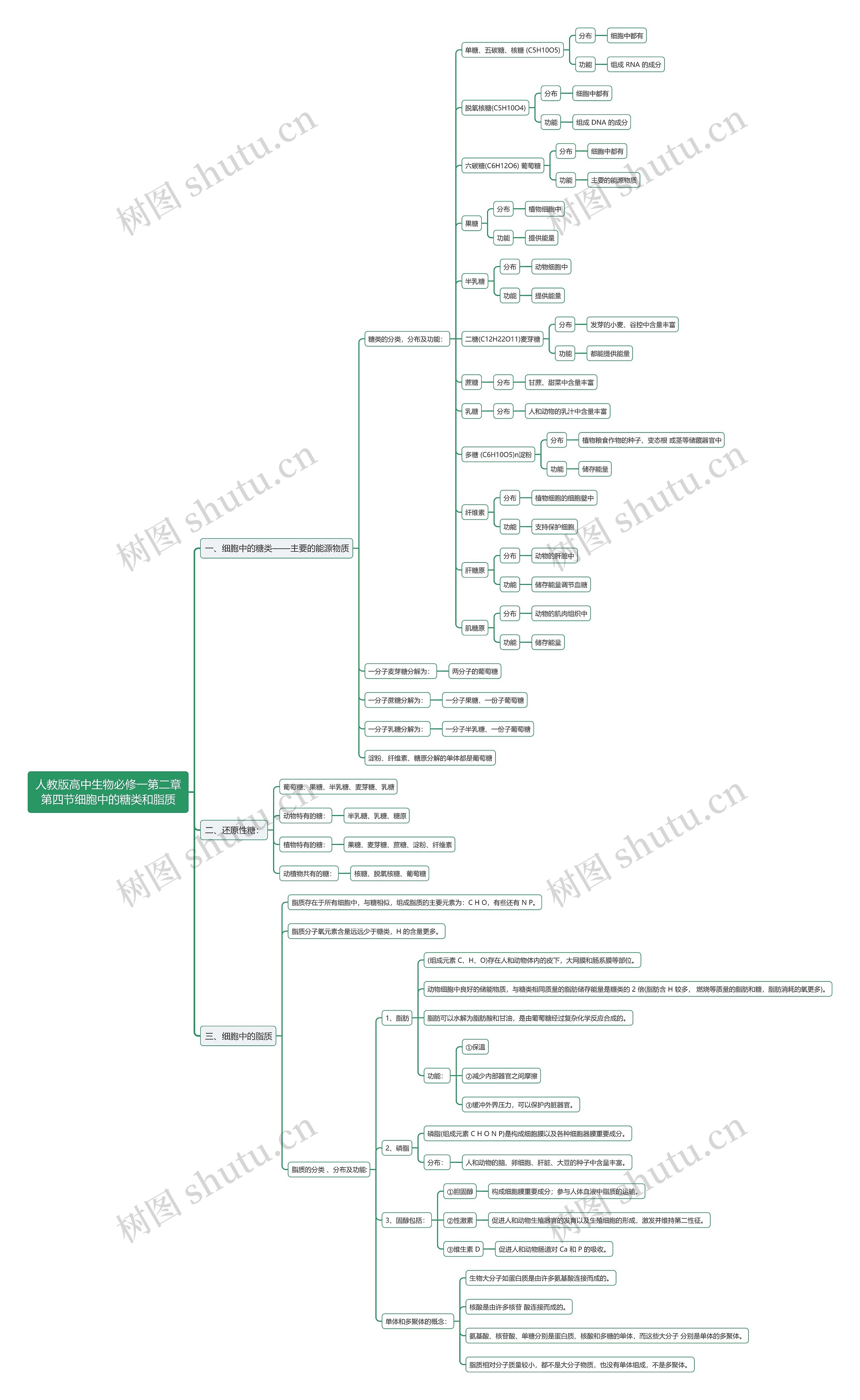 人教版高中生物必修一第二章第四节细胞中的糖类和脂质思维导图