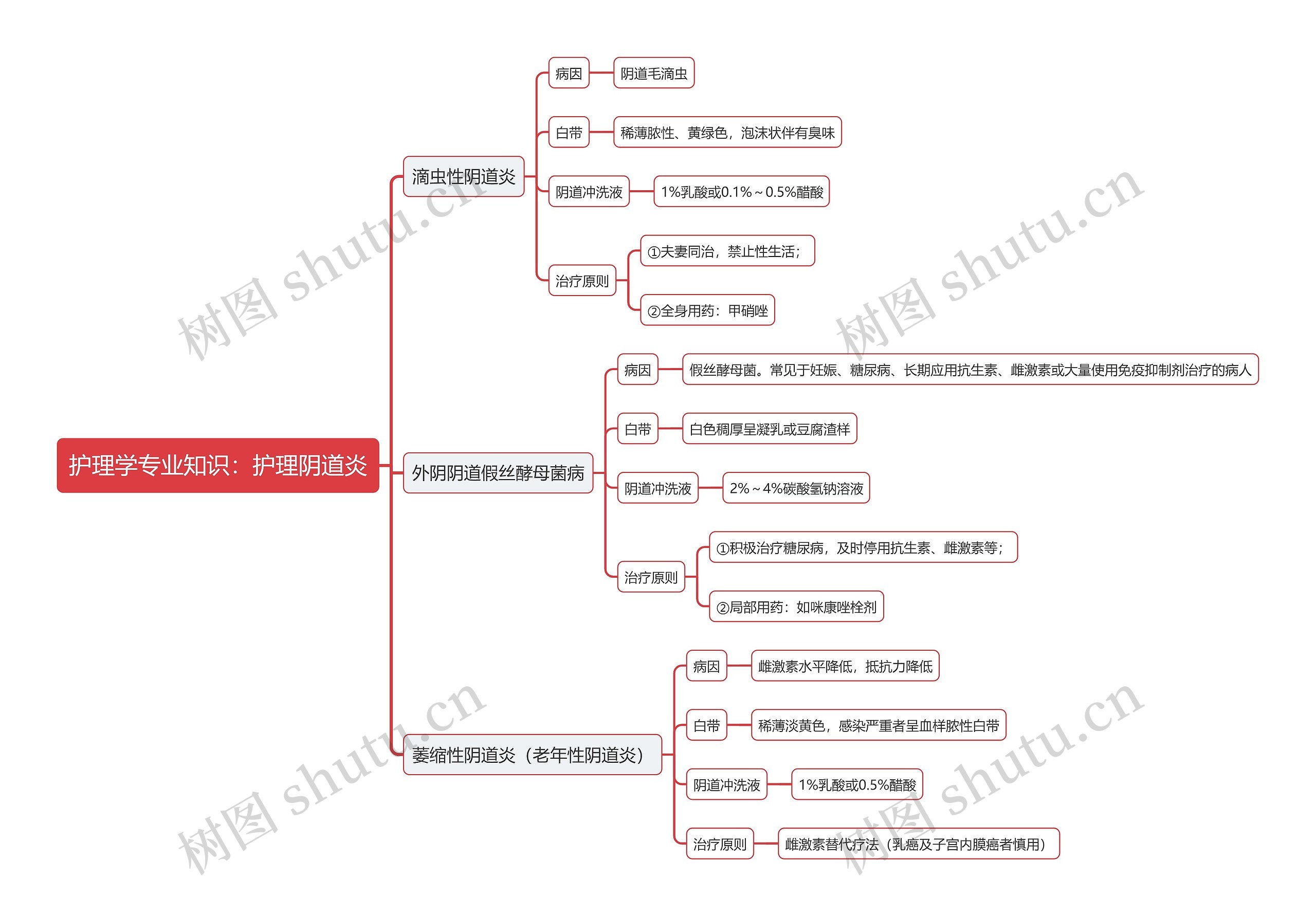 护理学专业知识：护理阴道炎思维导图