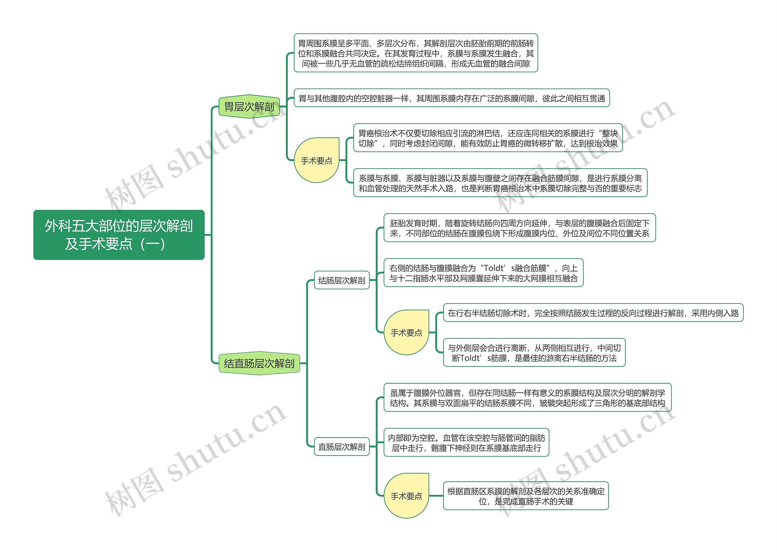 《外科五大部位的层次解剖及手术要点（一）》思维导图