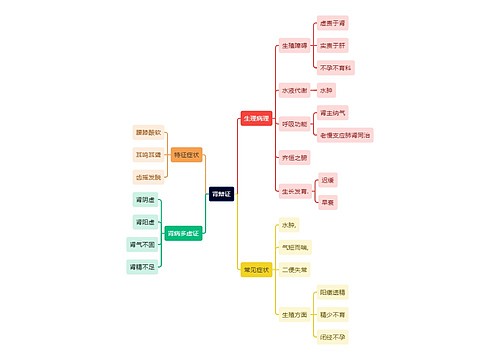 中医知识肾辩证思维导图