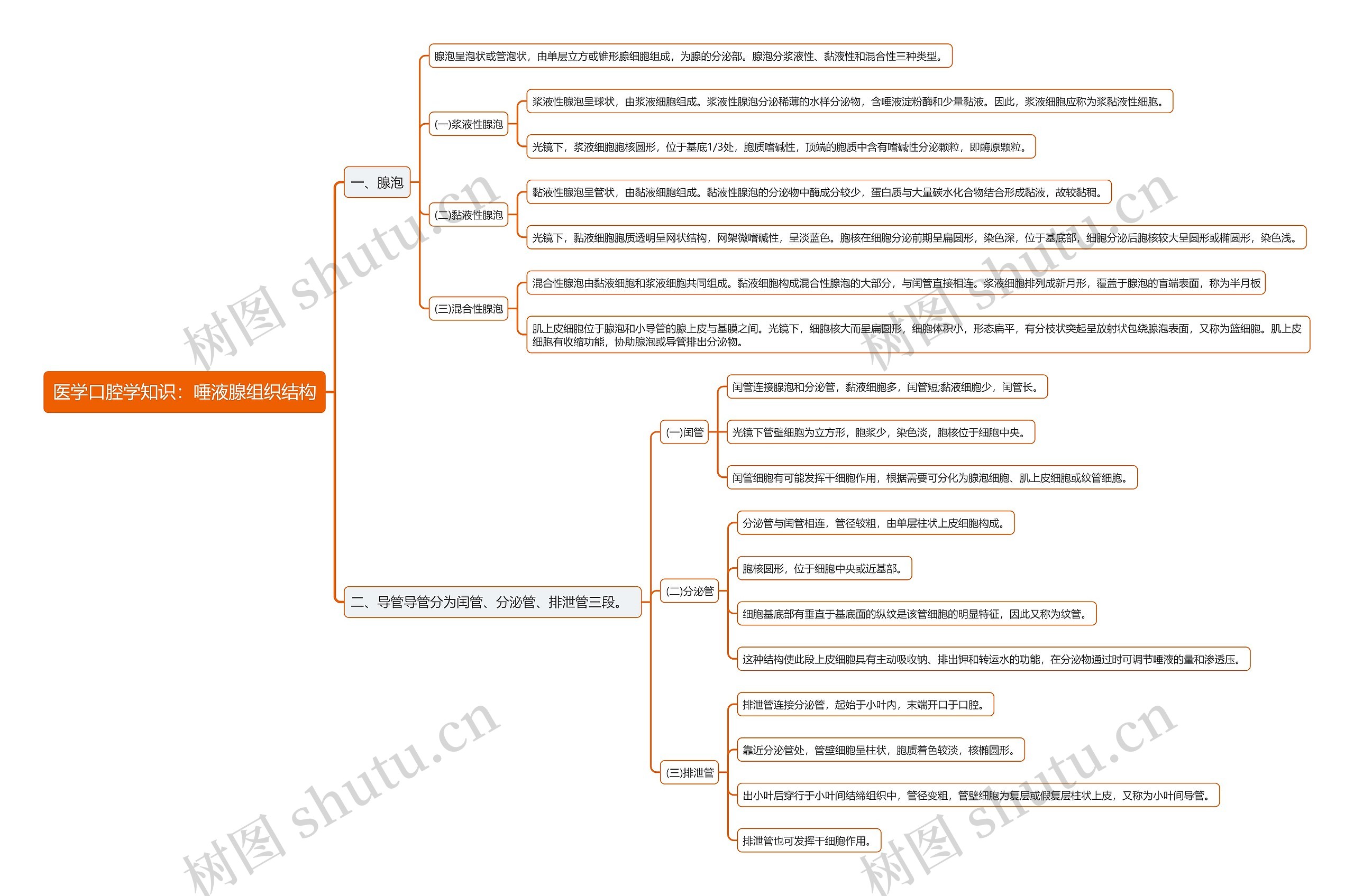 医学口腔学知识：唾液腺组织结构思维导图