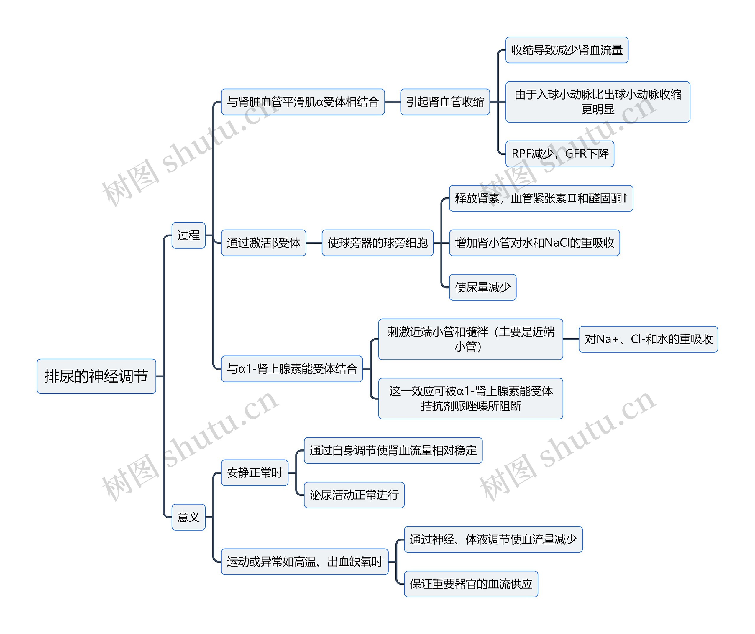 医学知识排尿的神经调节思维导图