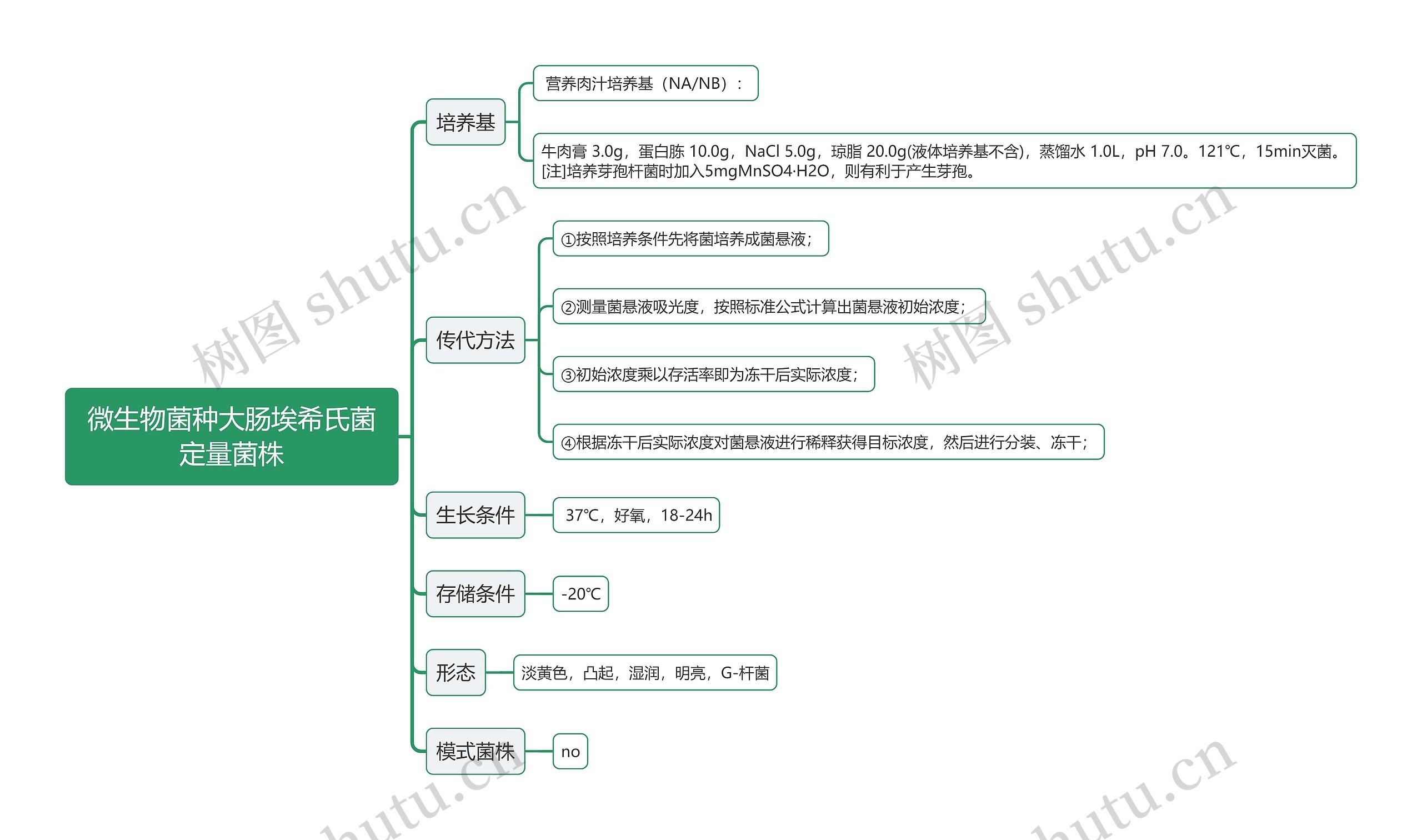 微生物菌种大肠埃希氏菌定量菌株思维导图