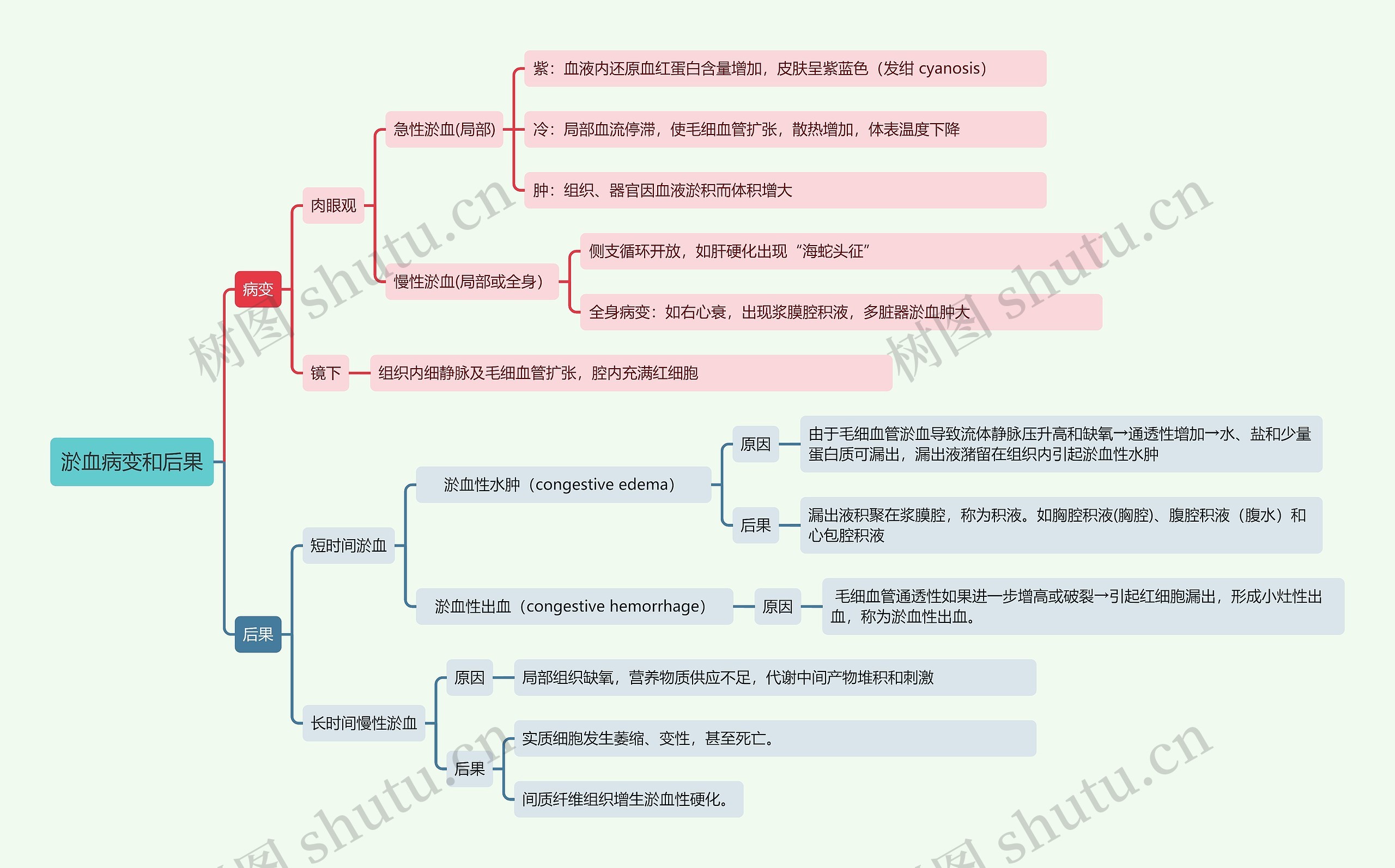 淤血病变和后果思维导图