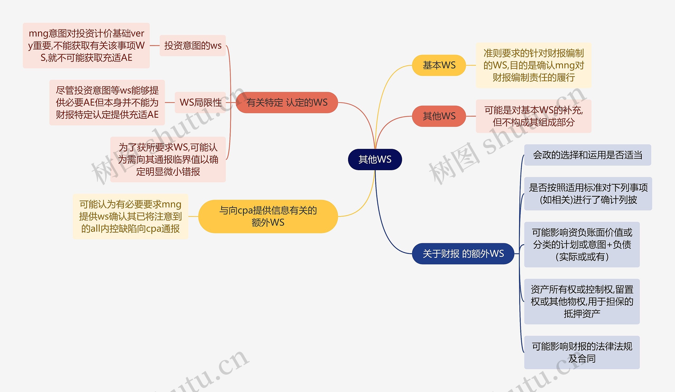 审计知识其他WS思维导图