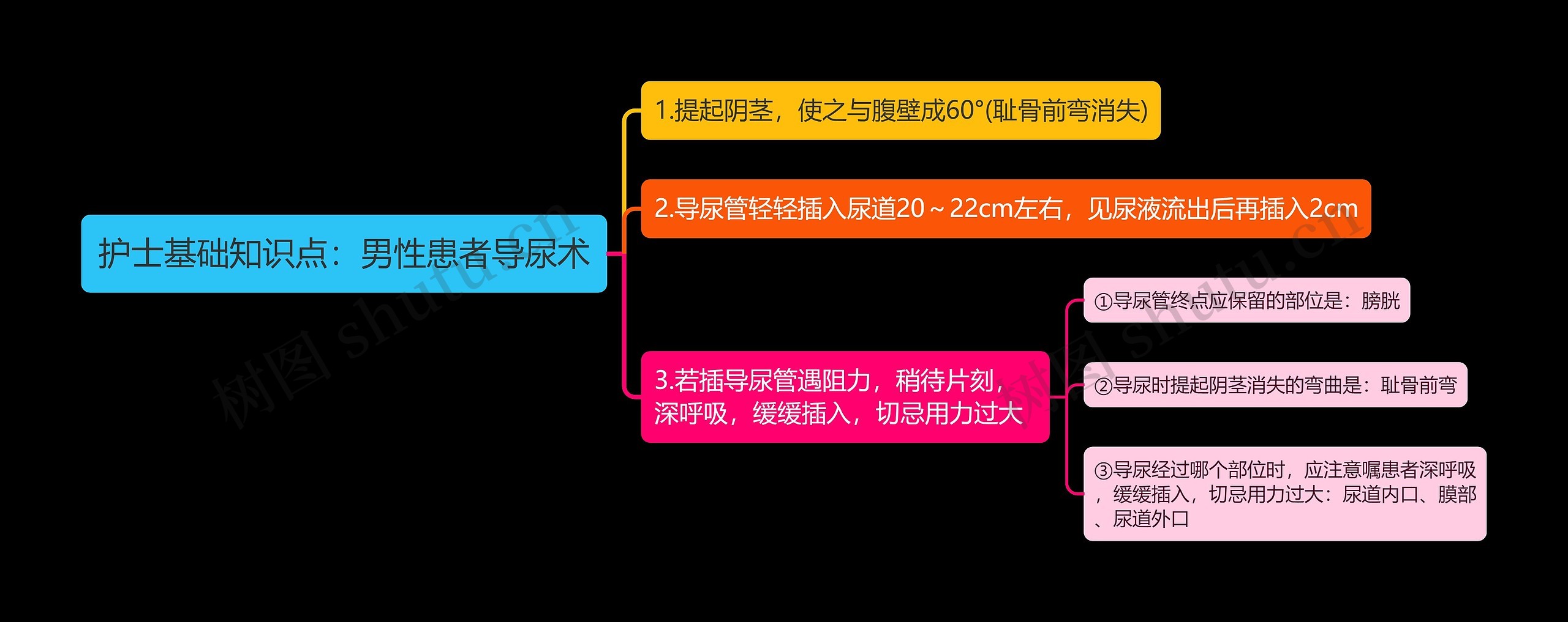 护士基础知识点：男性患者导尿术