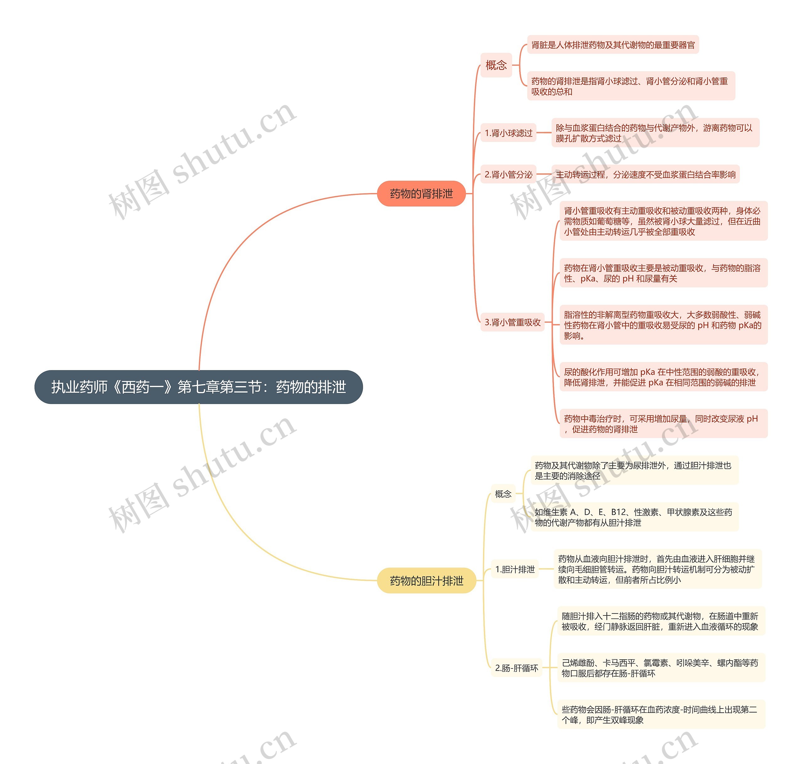 执业药师《西药一》第七章第三节：药物的排泄思维导图