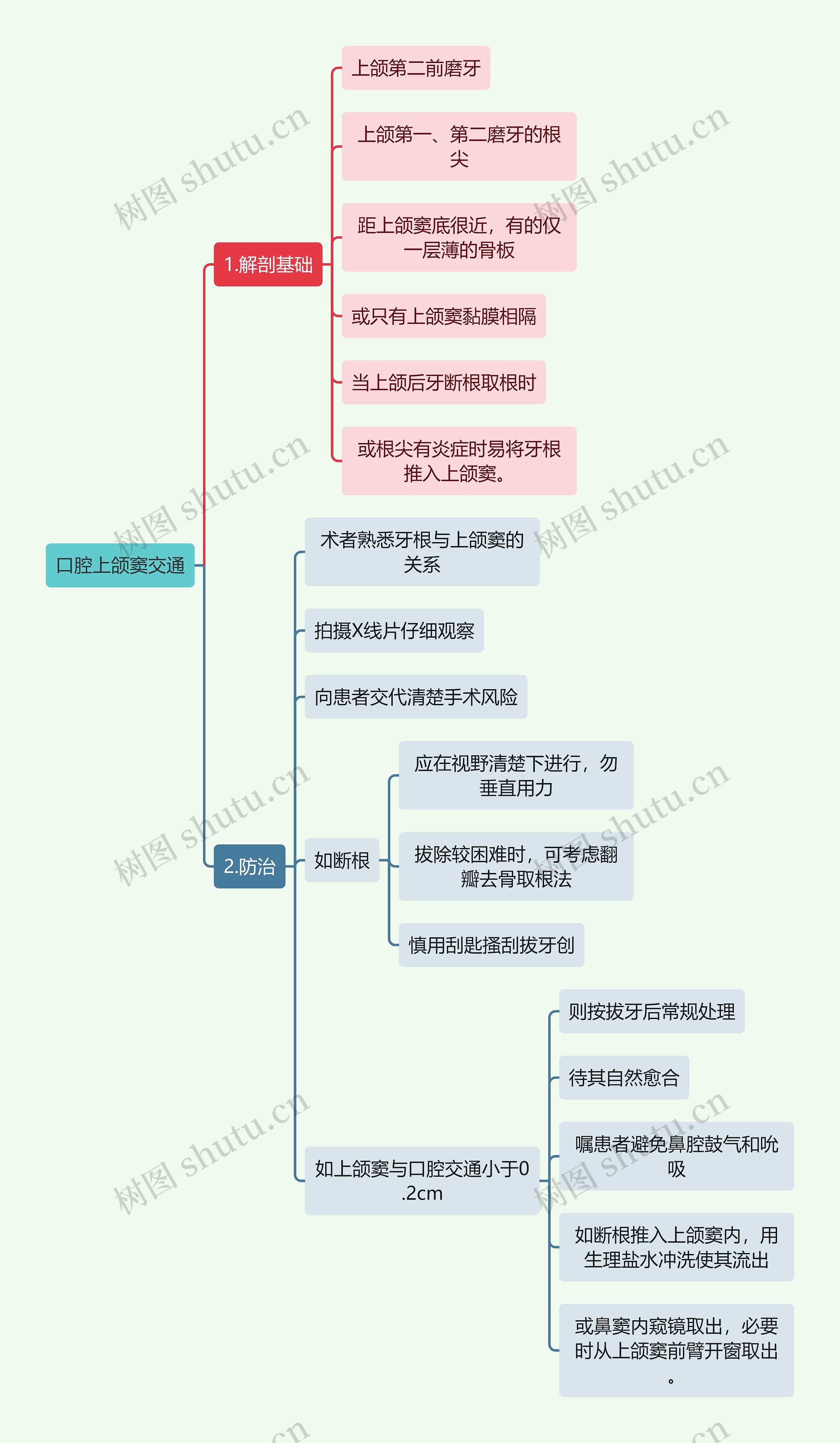 医学知识口腔上颌窦交通思维导图