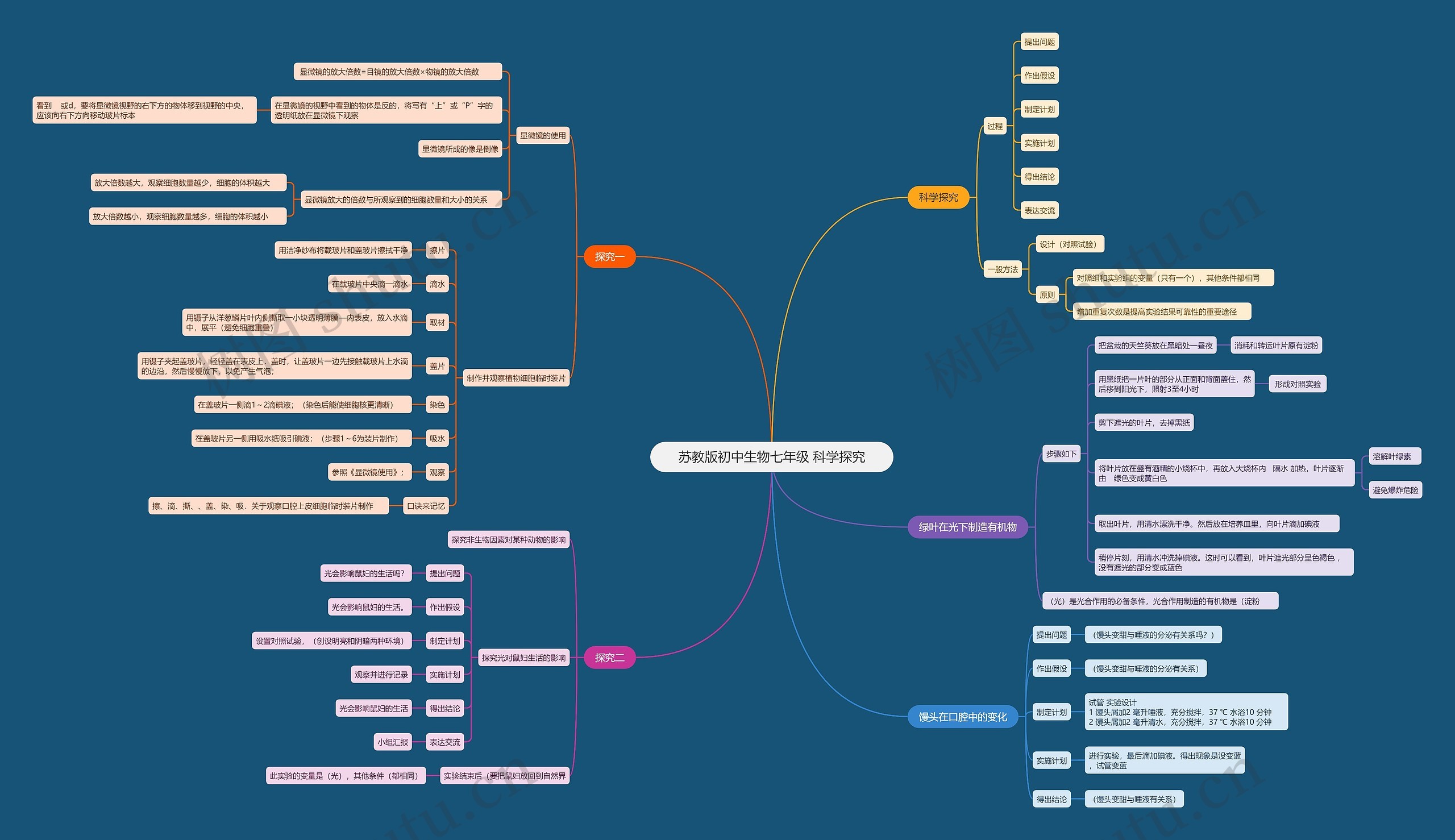 苏教版初中生物七年级 科学探究思维导图