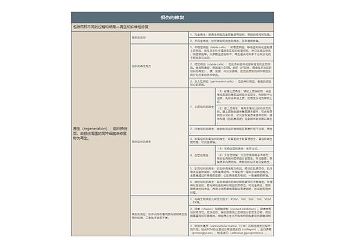 损伤的修复的思维导图