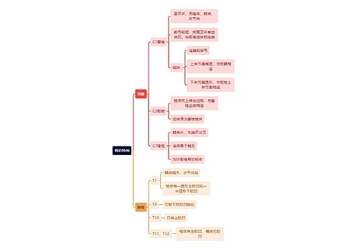 解剖学知识骨的特例思维导图