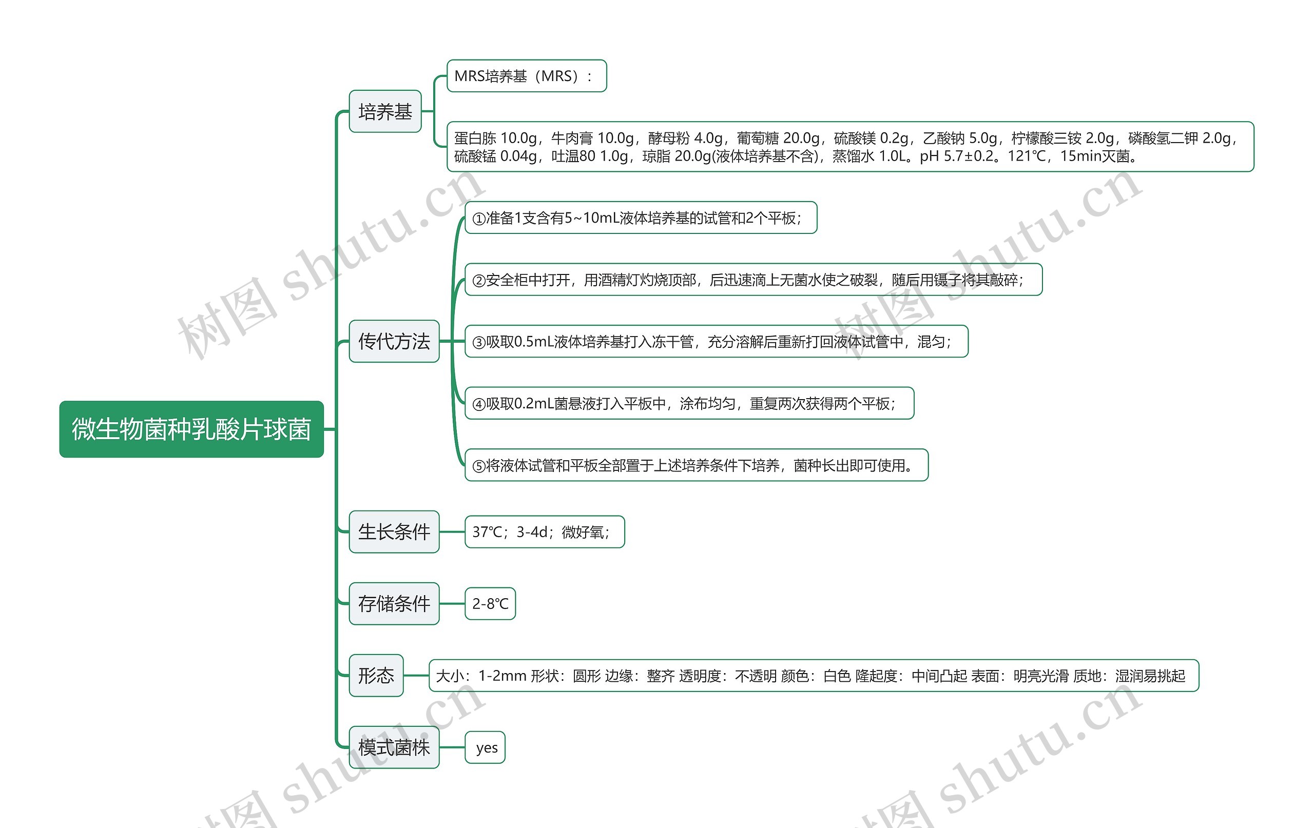 微生物菌种乳酸片球菌思维导图