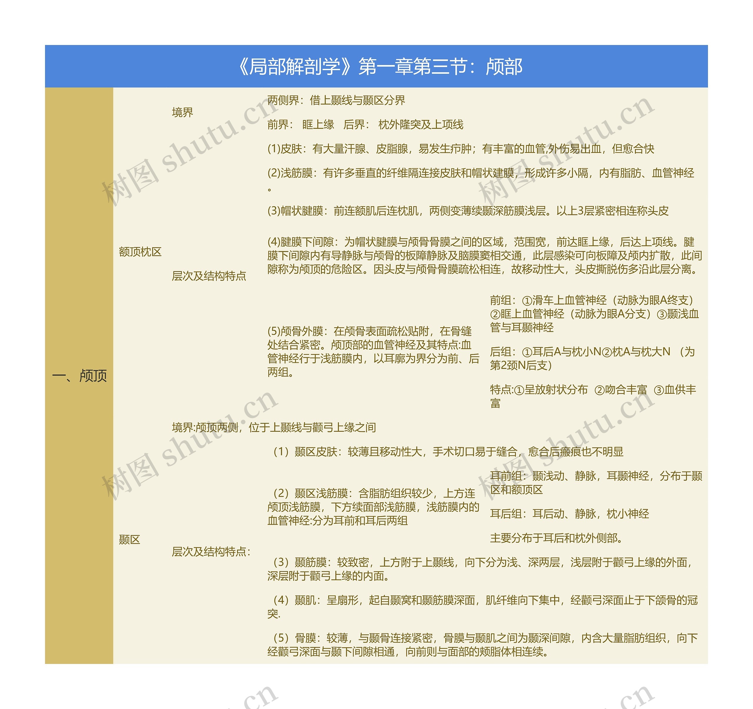 《局部解剖学》第一章第三节：颅部思维导图