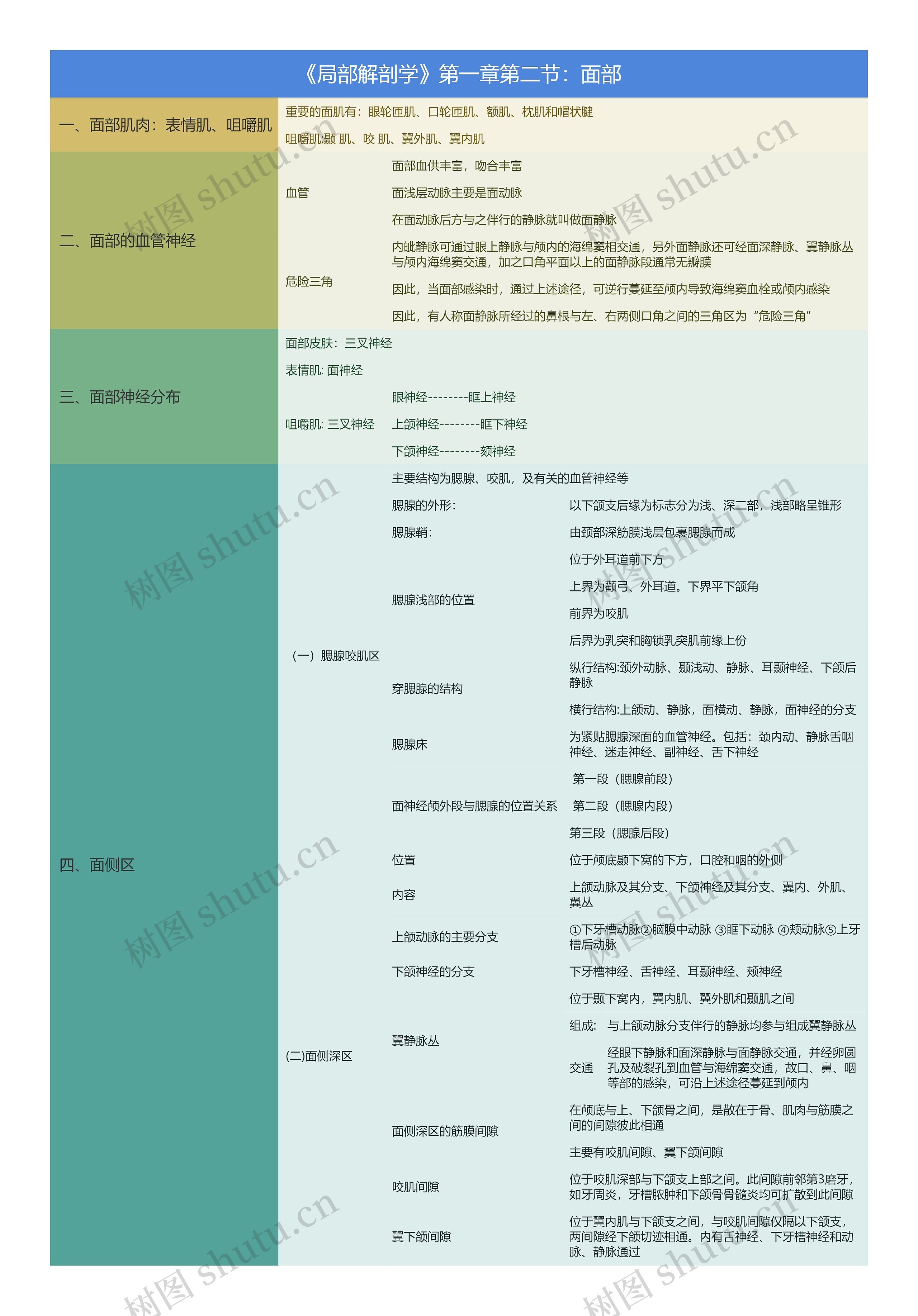 《局部解剖学》第一章第二节：面部