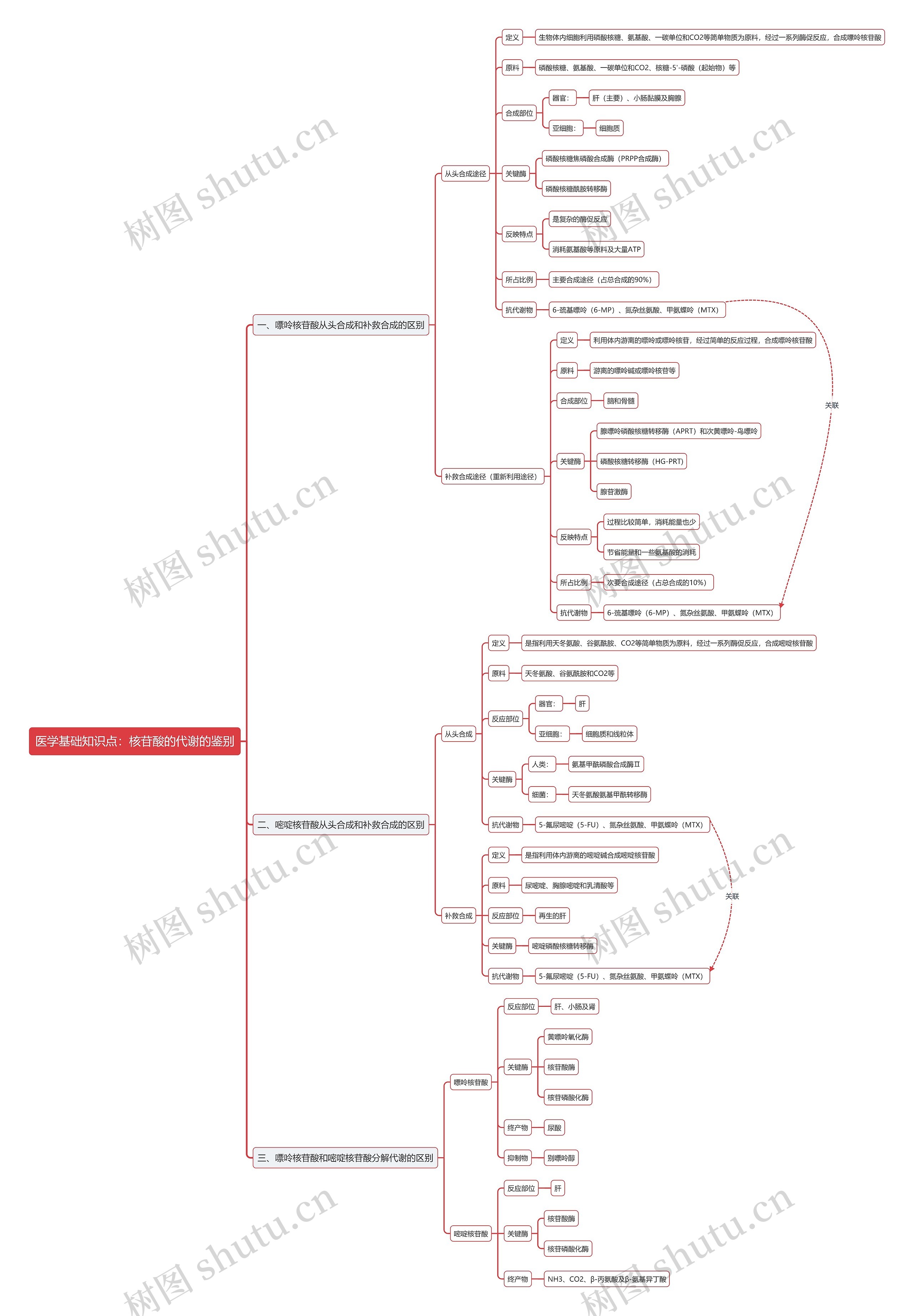 医学基础知识点：核苷酸的代谢的鉴别思维导图