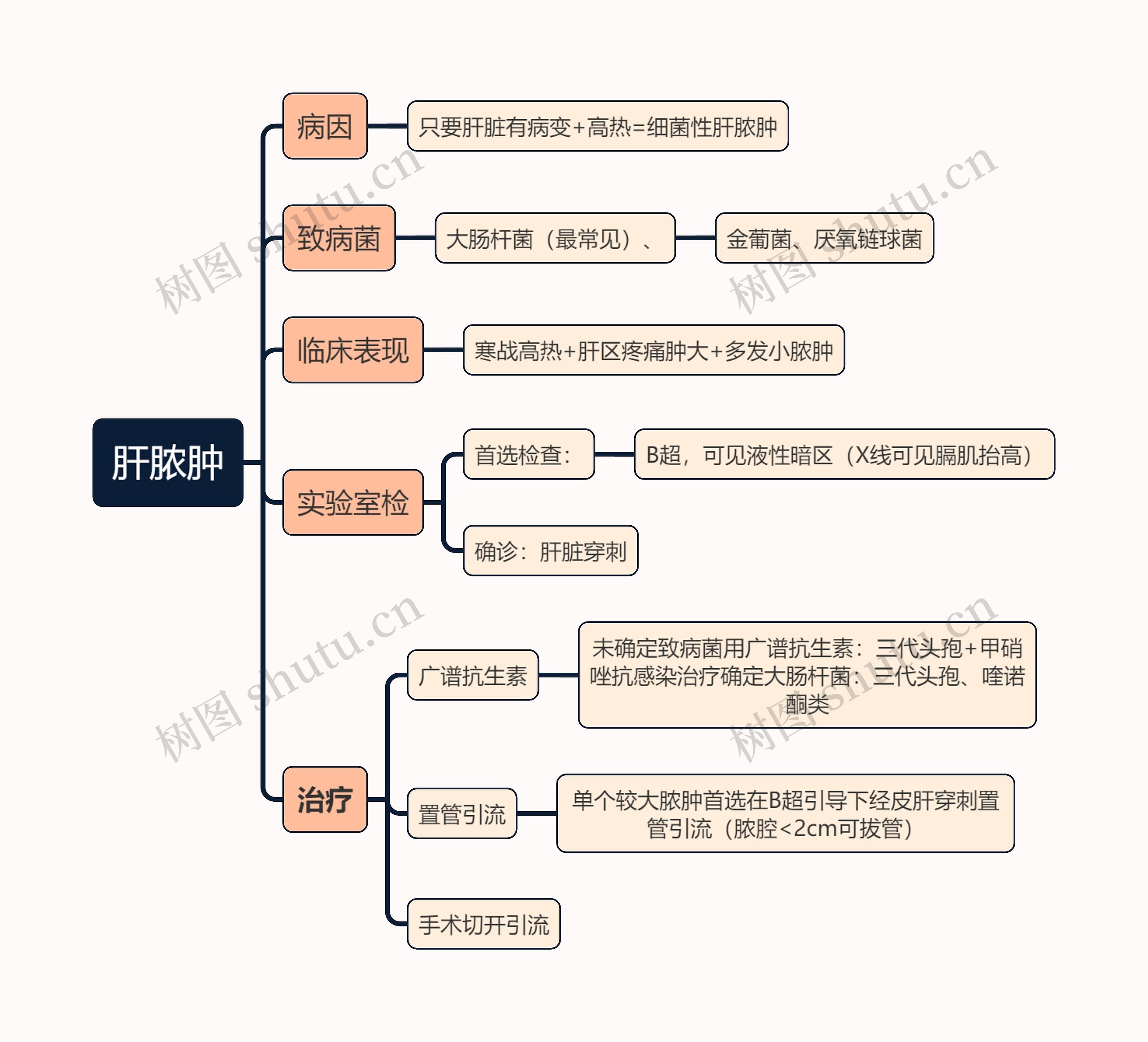 医学知识肝脓肿思维导图