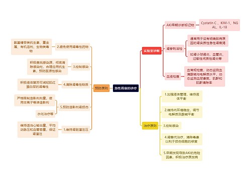 医学知识急性肾衰的诊疗思维导图