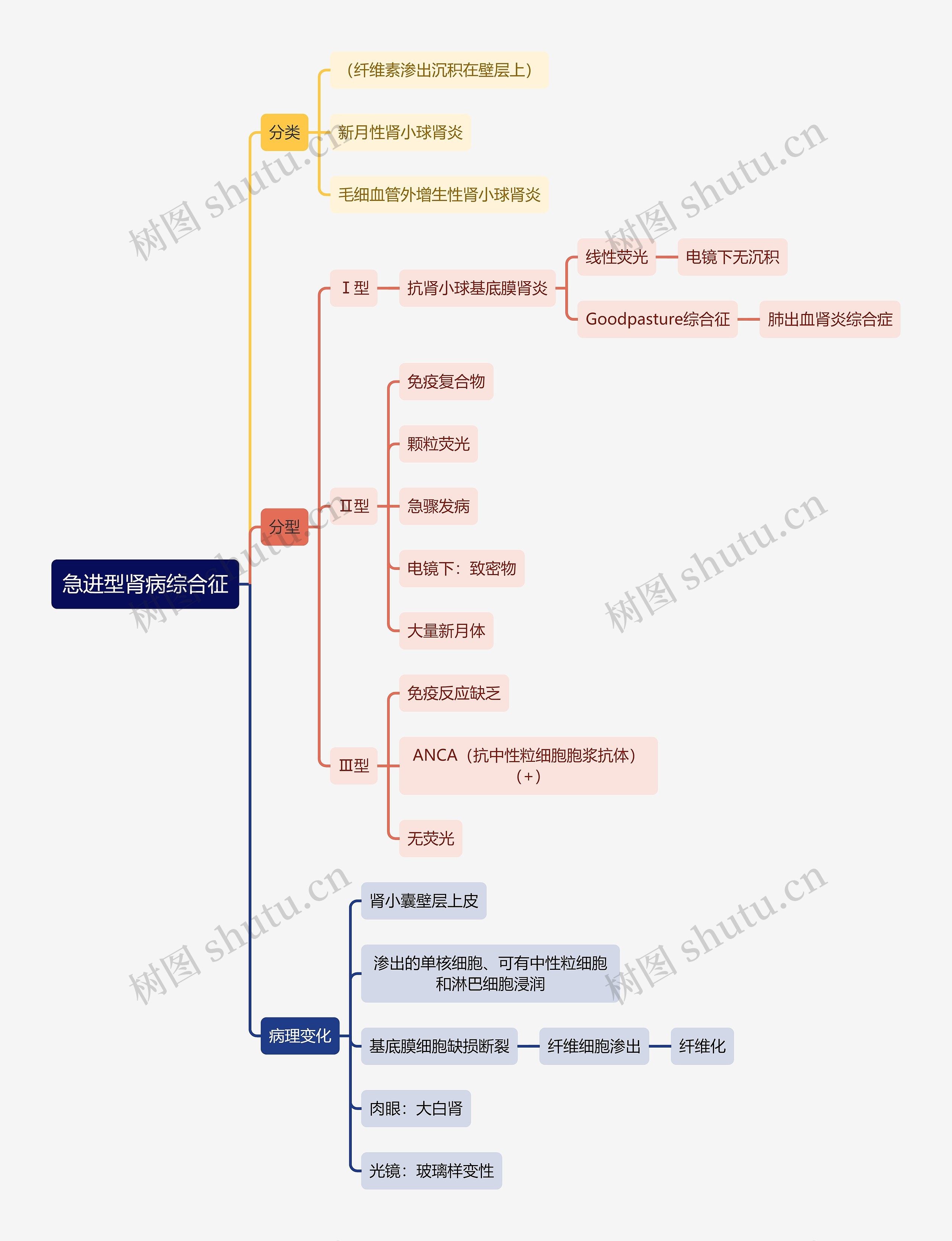 医学知识急进型肾病综合征思维导图