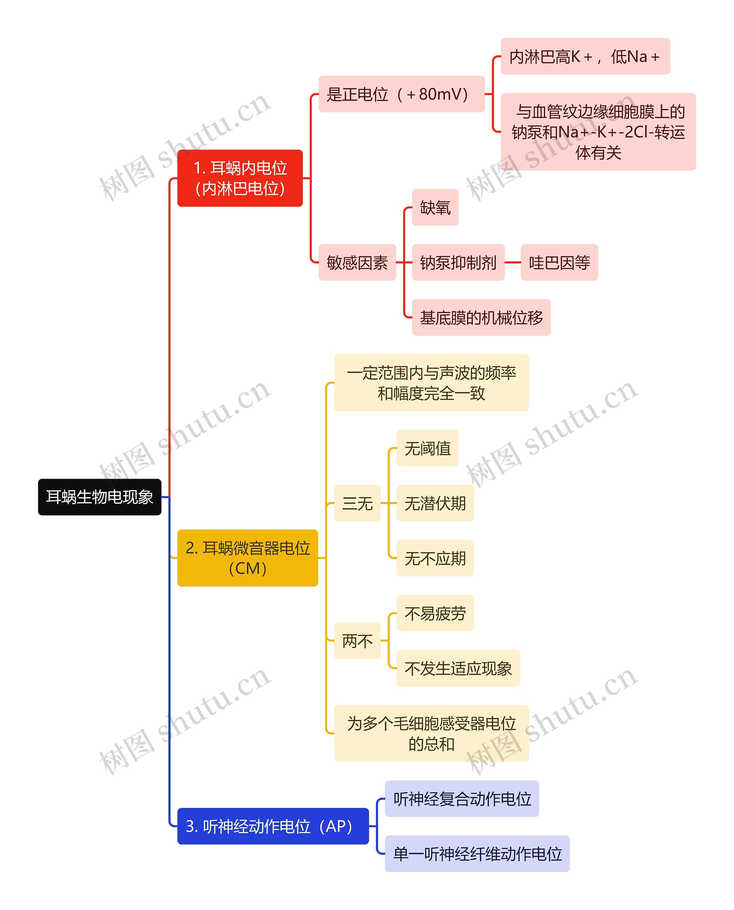 医学知识耳蜗生物电现象思维导图