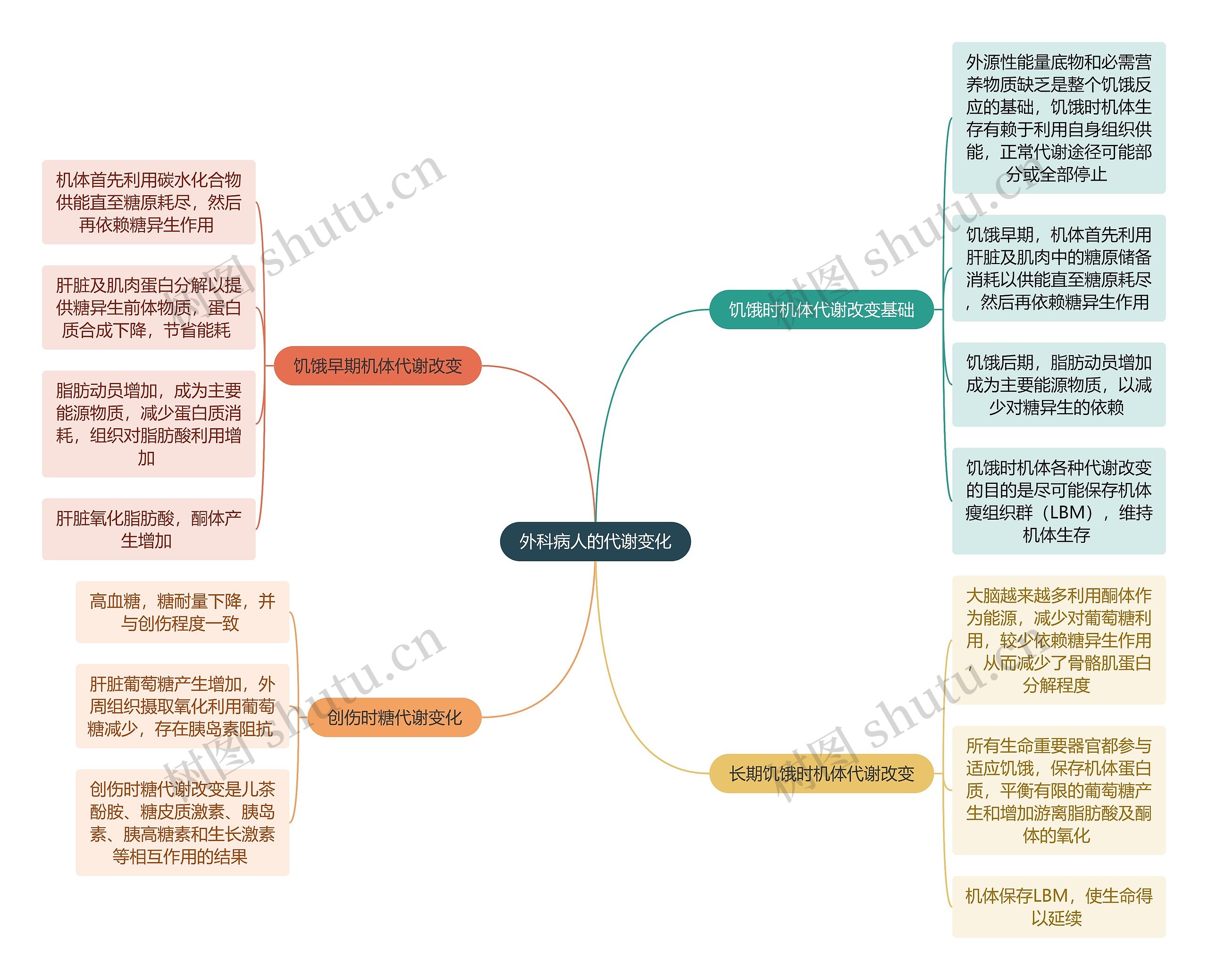 医学知识外科病人的代谢变化思维导图