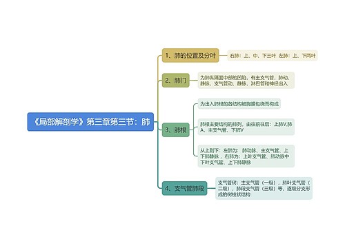 《局部解剖学》第三章第三节：肺