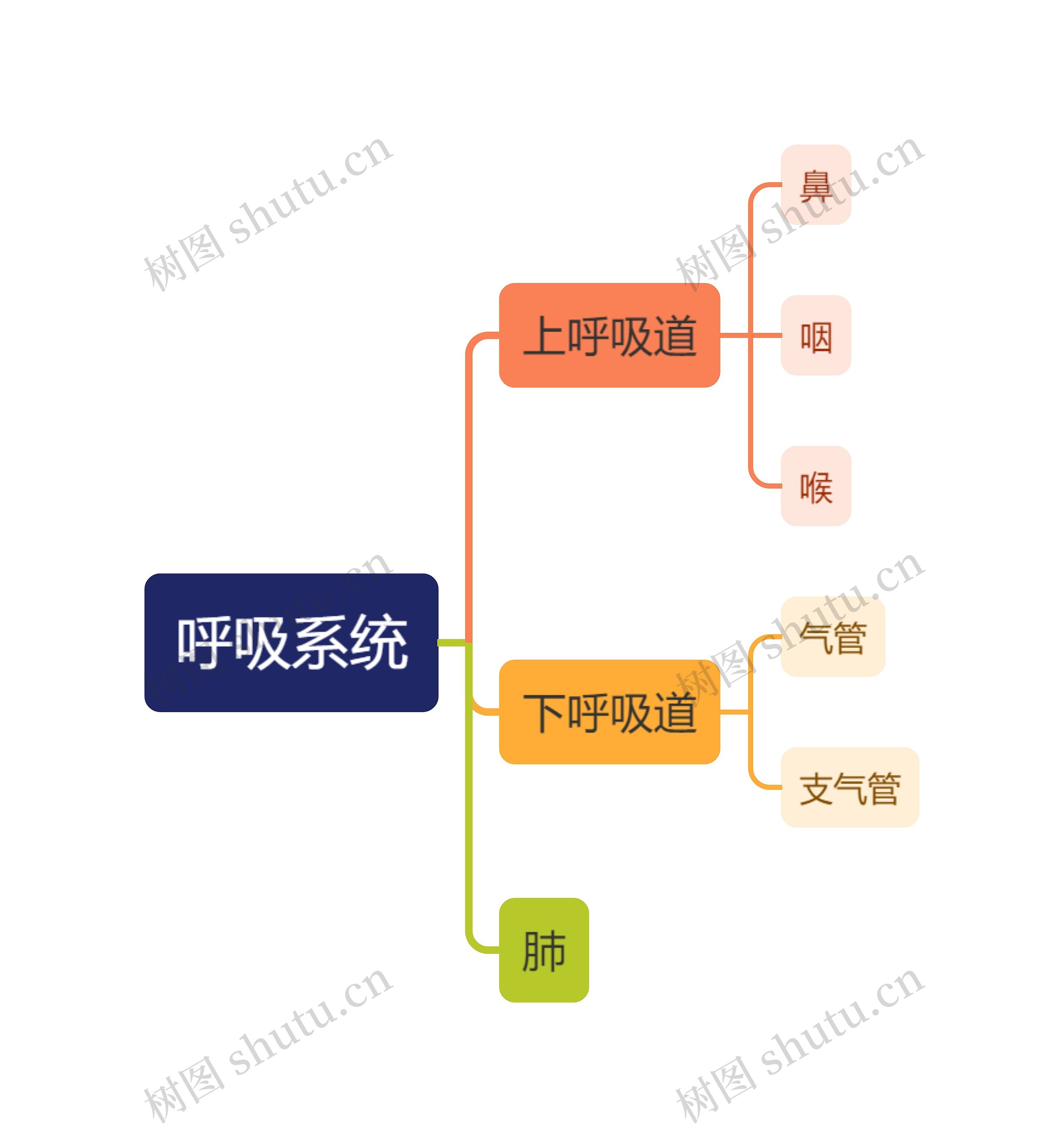 人体呼吸系统思维导图