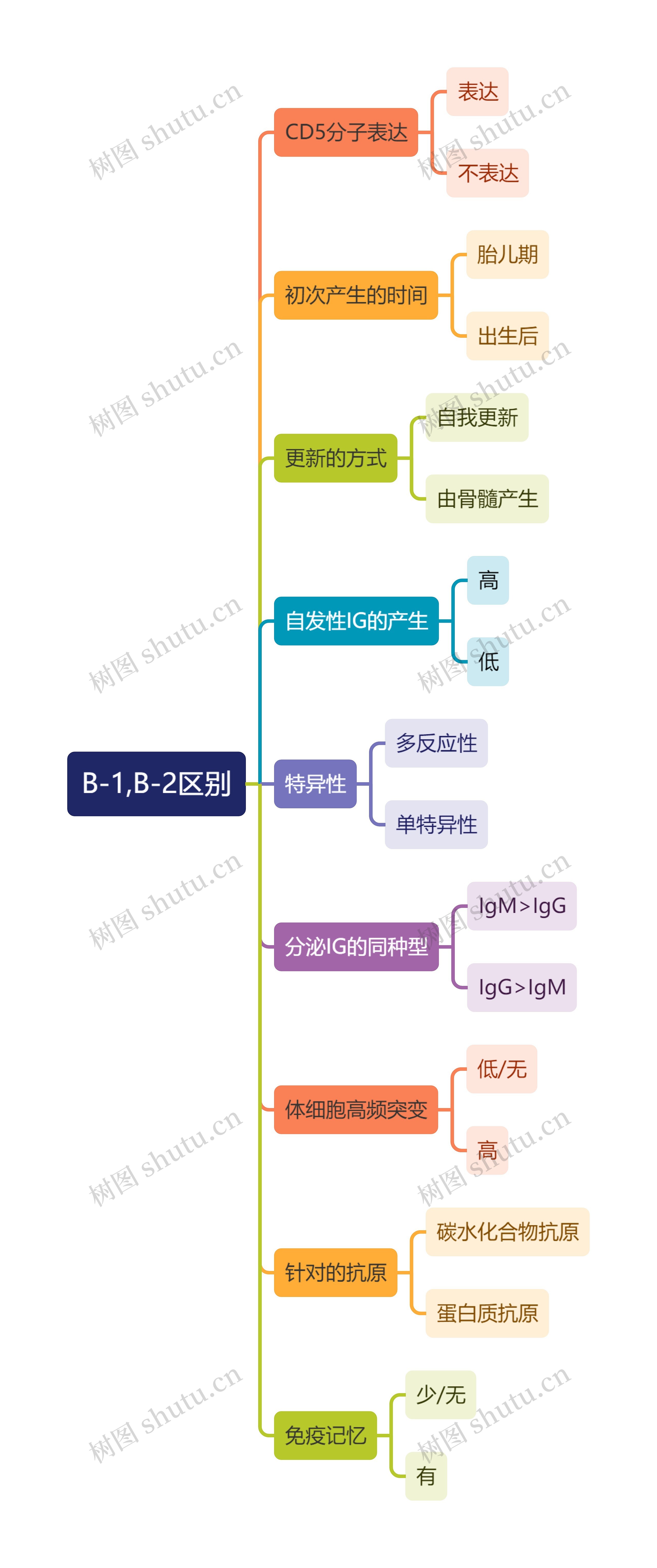 医学知识B-1,B-2区别思维导图