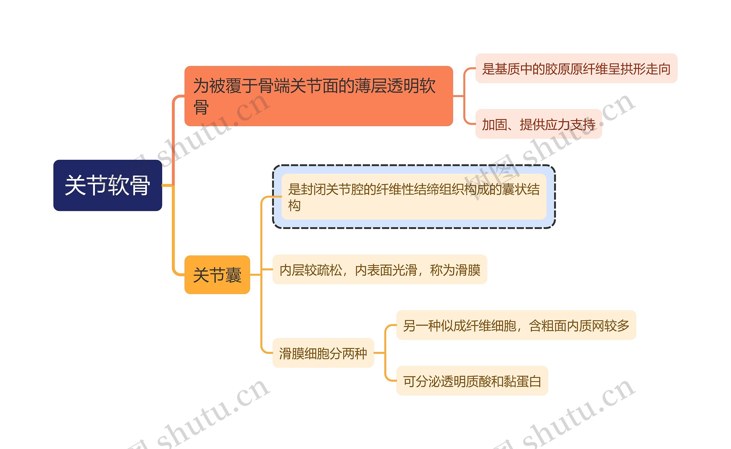 医学知识关节软骨思维导图