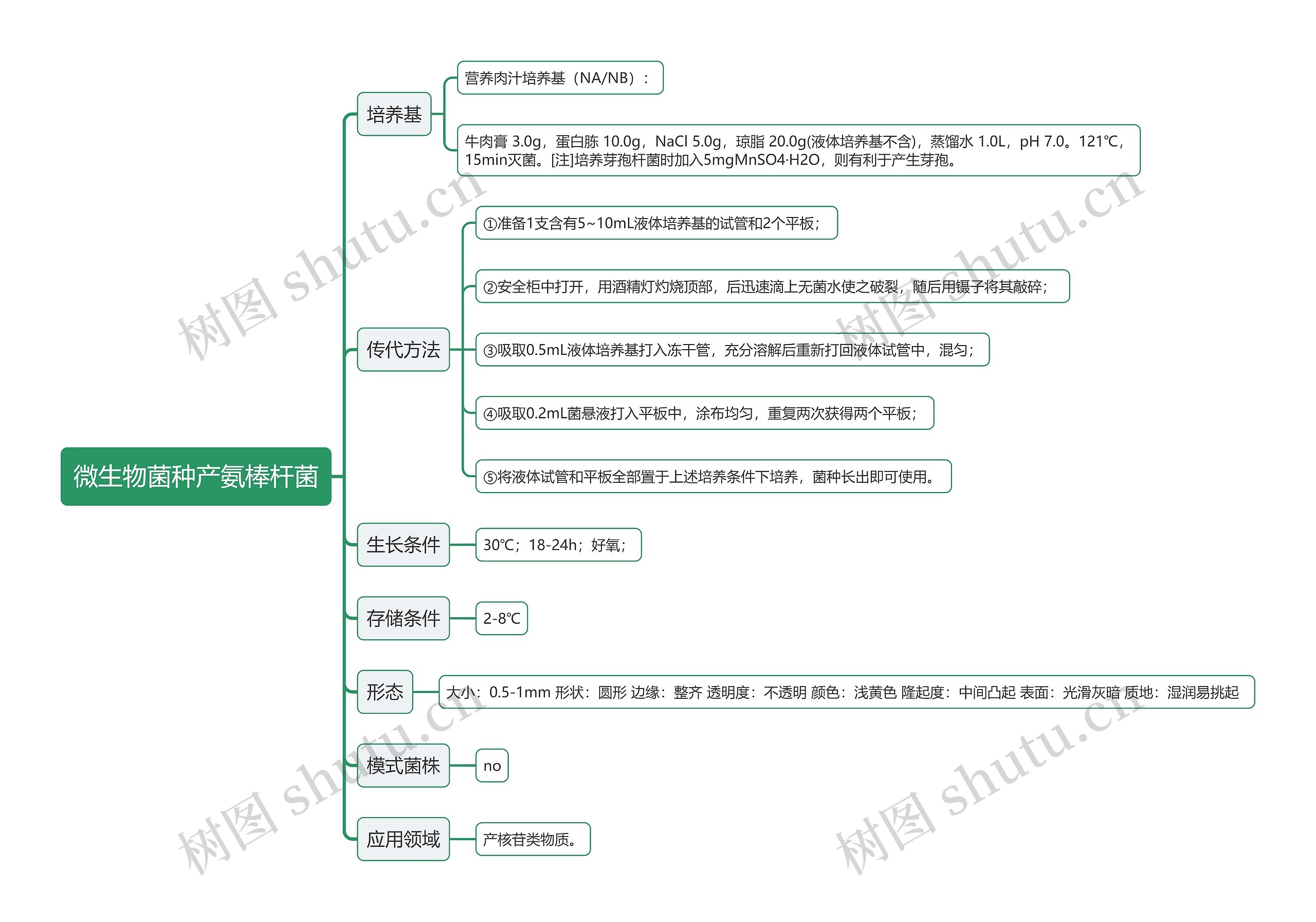 微生物菌种产氨棒杆菌思维导图