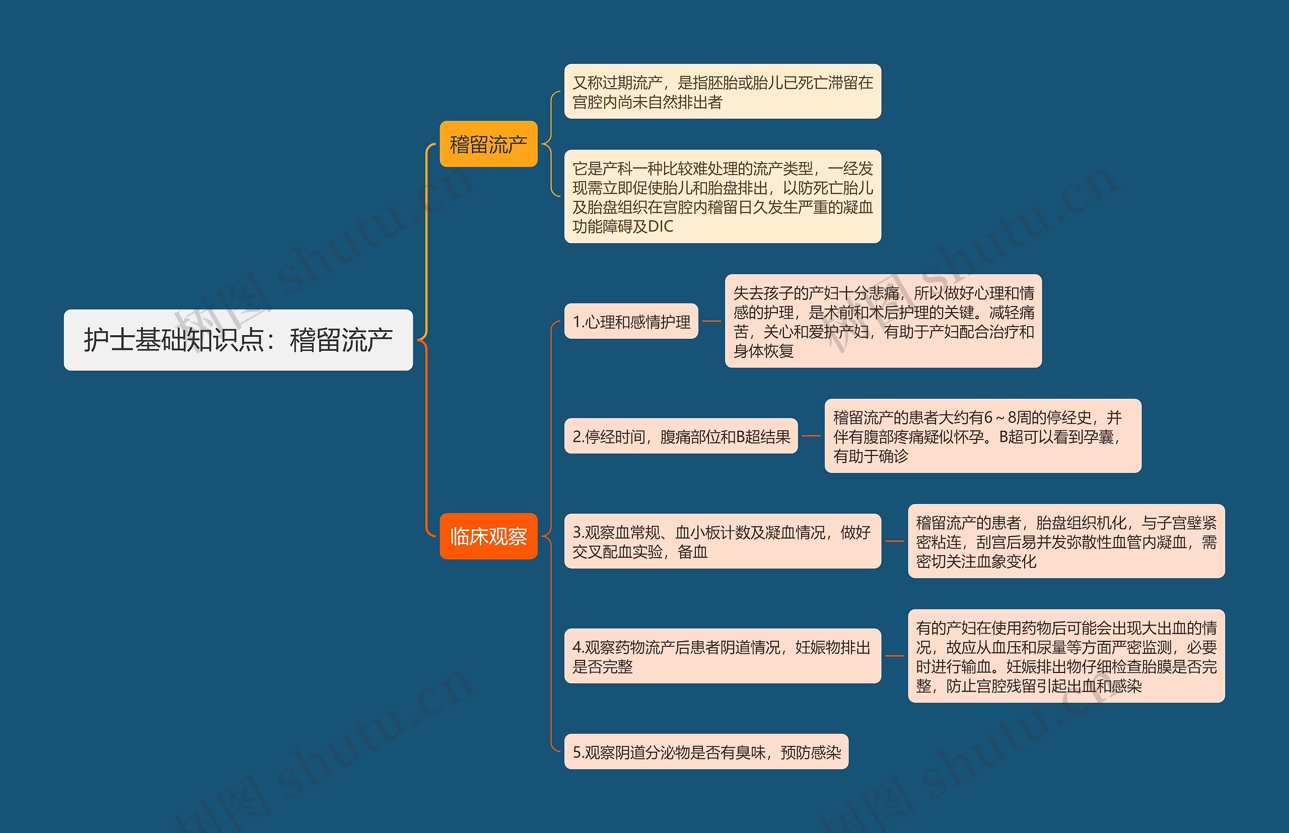 护士基础知识点：稽留流产