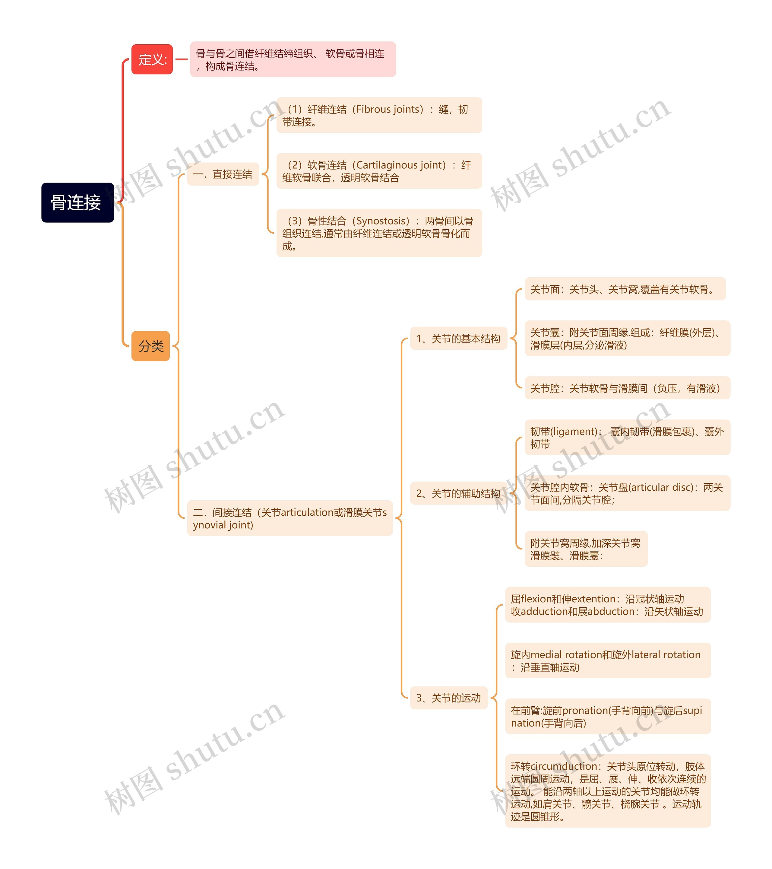 骨连接思维导图