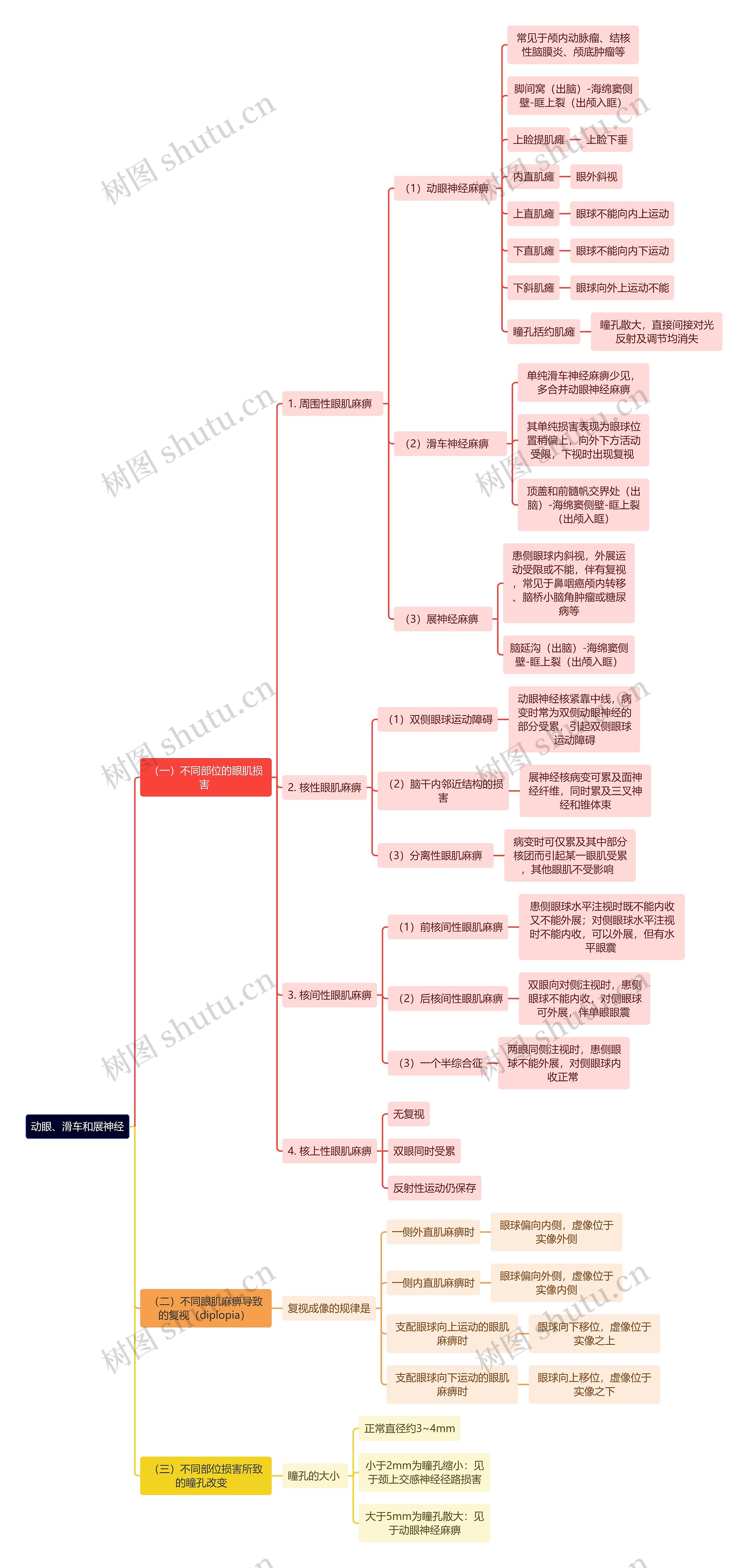 解剖学知识动眼、滑车和展神经思维导图